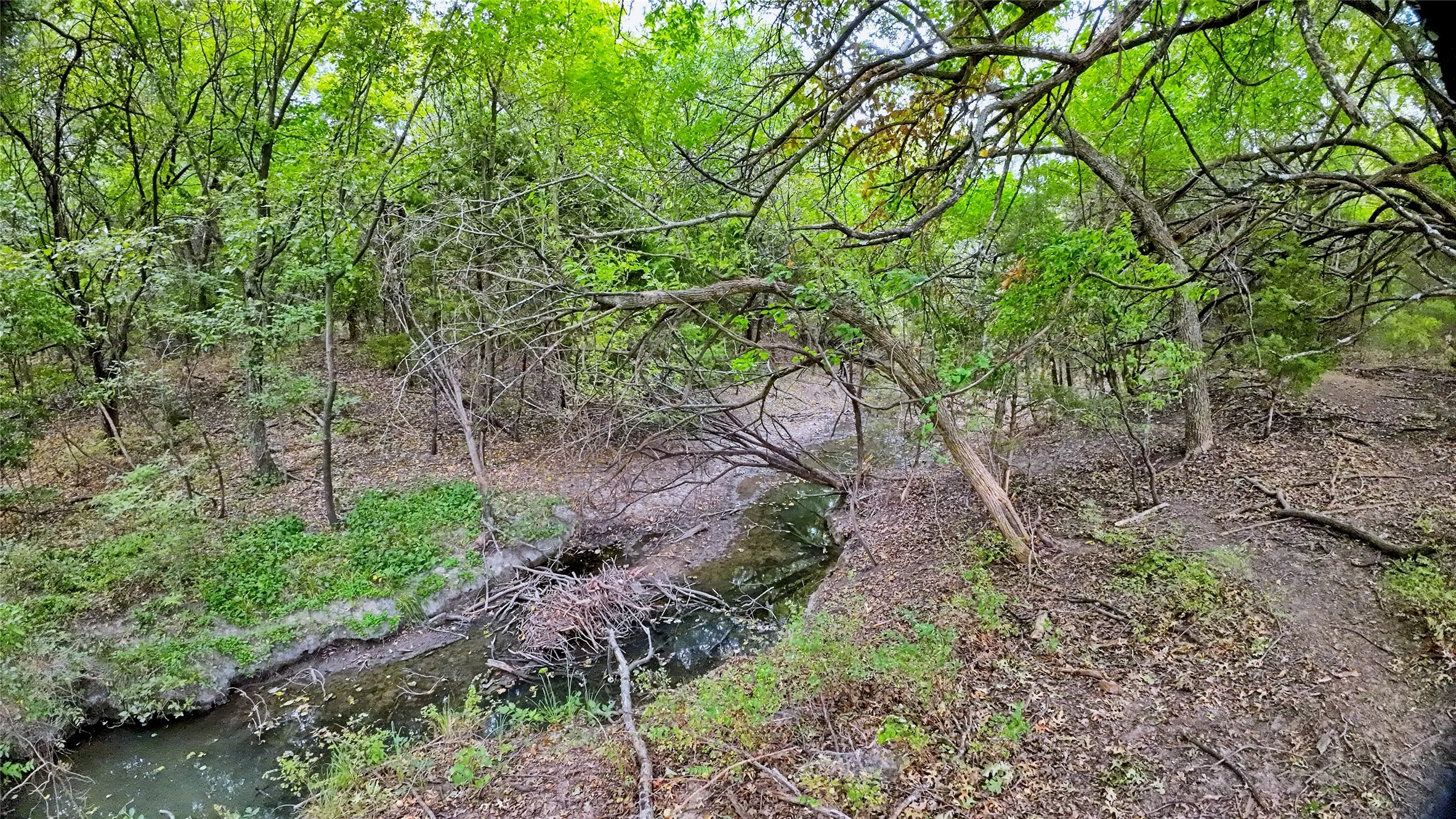 Unimproved Land For Sale in Montague County , TBD US-82, St Jo, Texas 76265, 0, 0, Garage spaces, 0 Sqft, built in 0, mls#21379617, Real Estate Agent in St Jo, Homes For Sale in Montague county, Homes For Sale in St Jo, Realtor in St Jo Texas, Real Estate Brokerage Independent Realty Texas, Luminita Cordes Realtor