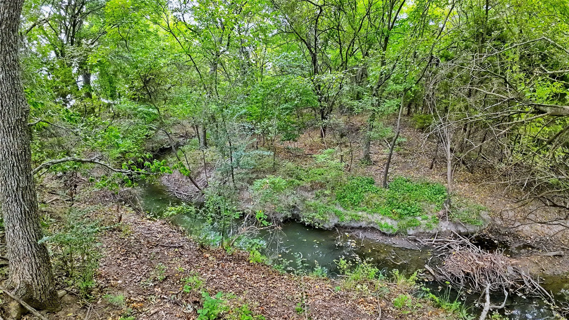 Unimproved Land For Sale in Montague County , TBD US-82, St Jo, Texas 76265, 0, 0, Garage spaces, 0 Sqft, built in 0, mls#21379617, Real Estate Agent in St Jo, Homes For Sale in Montague county, Homes For Sale in St Jo, Realtor in St Jo Texas, Real Estate Brokerage Independent Realty Texas, Luminita Cordes Realtor