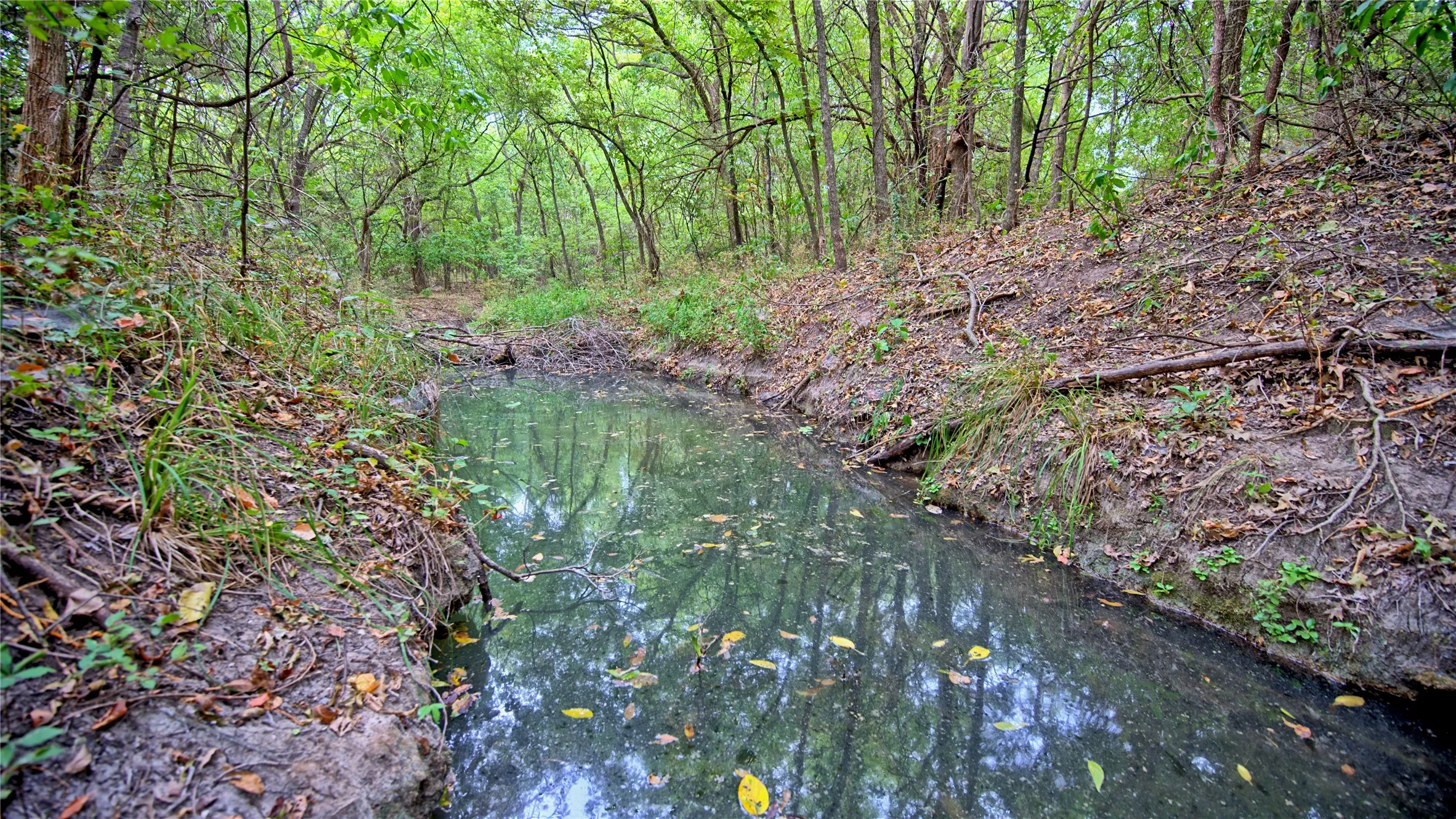 Unimproved Land For Sale in Montague County , TBD US-82, St Jo, Texas 76265, 0, 0, Garage spaces, 0 Sqft, built in 0, mls#21379617, Real Estate Agent in St Jo, Homes For Sale in Montague county, Homes For Sale in St Jo, Realtor in St Jo Texas, Real Estate Brokerage Independent Realty Texas, Luminita Cordes Realtor
