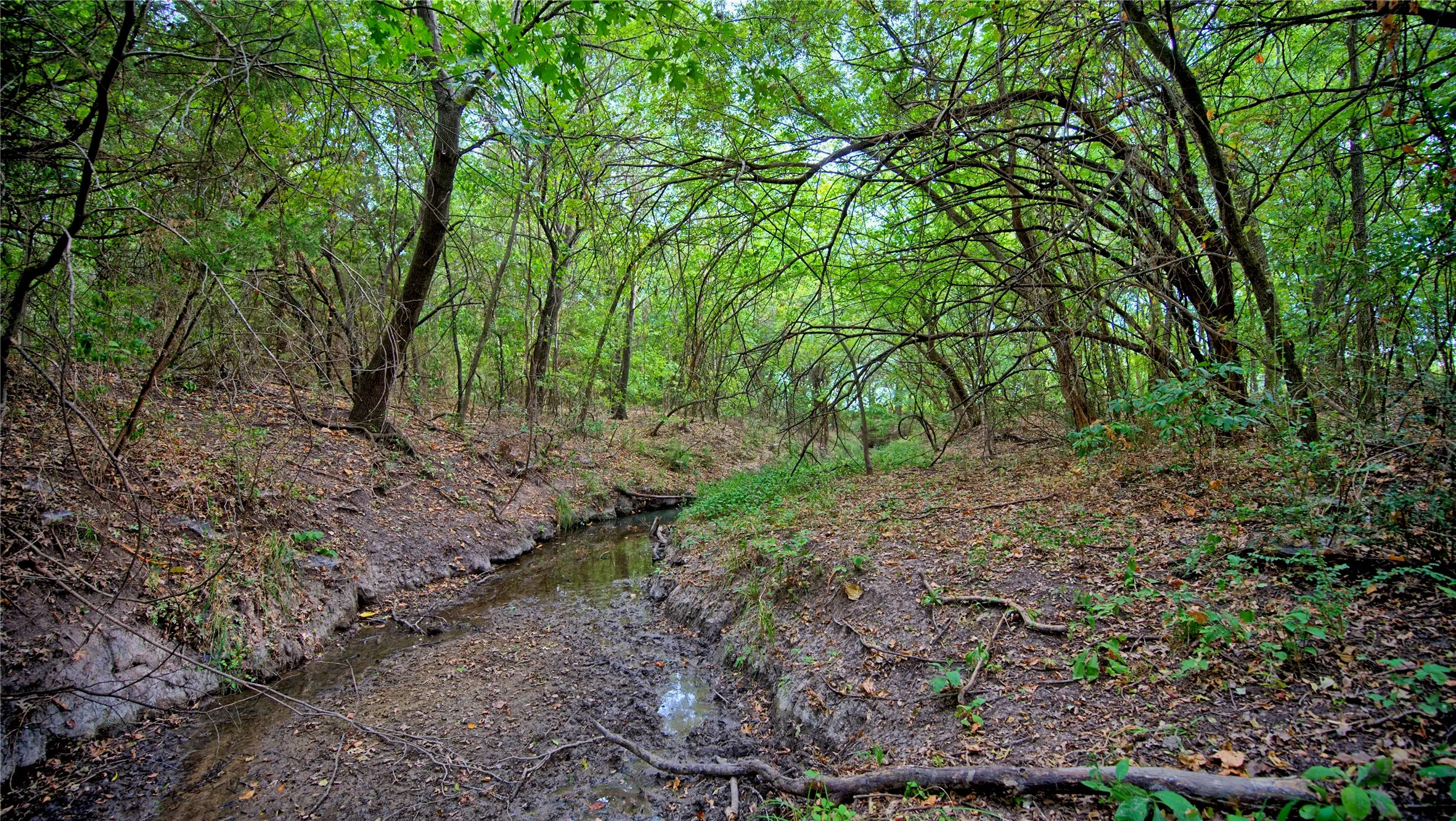 Unimproved Land For Sale in Montague County , TBD US-82, St Jo, Texas 76265, 0, 0, Garage spaces, 0 Sqft, built in 0, mls#21379617, Real Estate Agent in St Jo, Homes For Sale in Montague county, Homes For Sale in St Jo, Realtor in St Jo Texas, Real Estate Brokerage Independent Realty Texas, Luminita Cordes Realtor