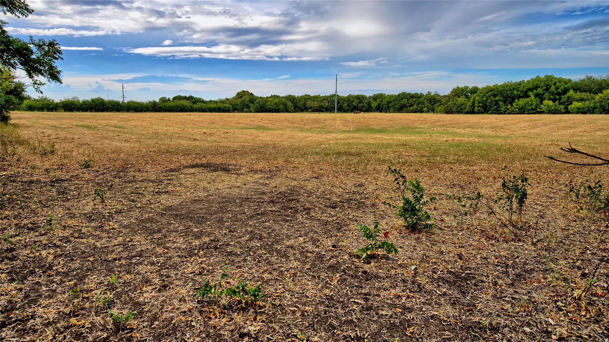 Unimproved Land For Sale in Montague County , TBD US-82, St Jo, Texas 76265, 0, 0, Garage spaces, 0 Sqft, built in 0, mls#21379617, Real Estate Agent in St Jo, Homes For Sale in Montague county, Homes For Sale in St Jo, Realtor in St Jo Texas, Real Estate Brokerage Independent Realty Texas, Luminita Cordes Realtor