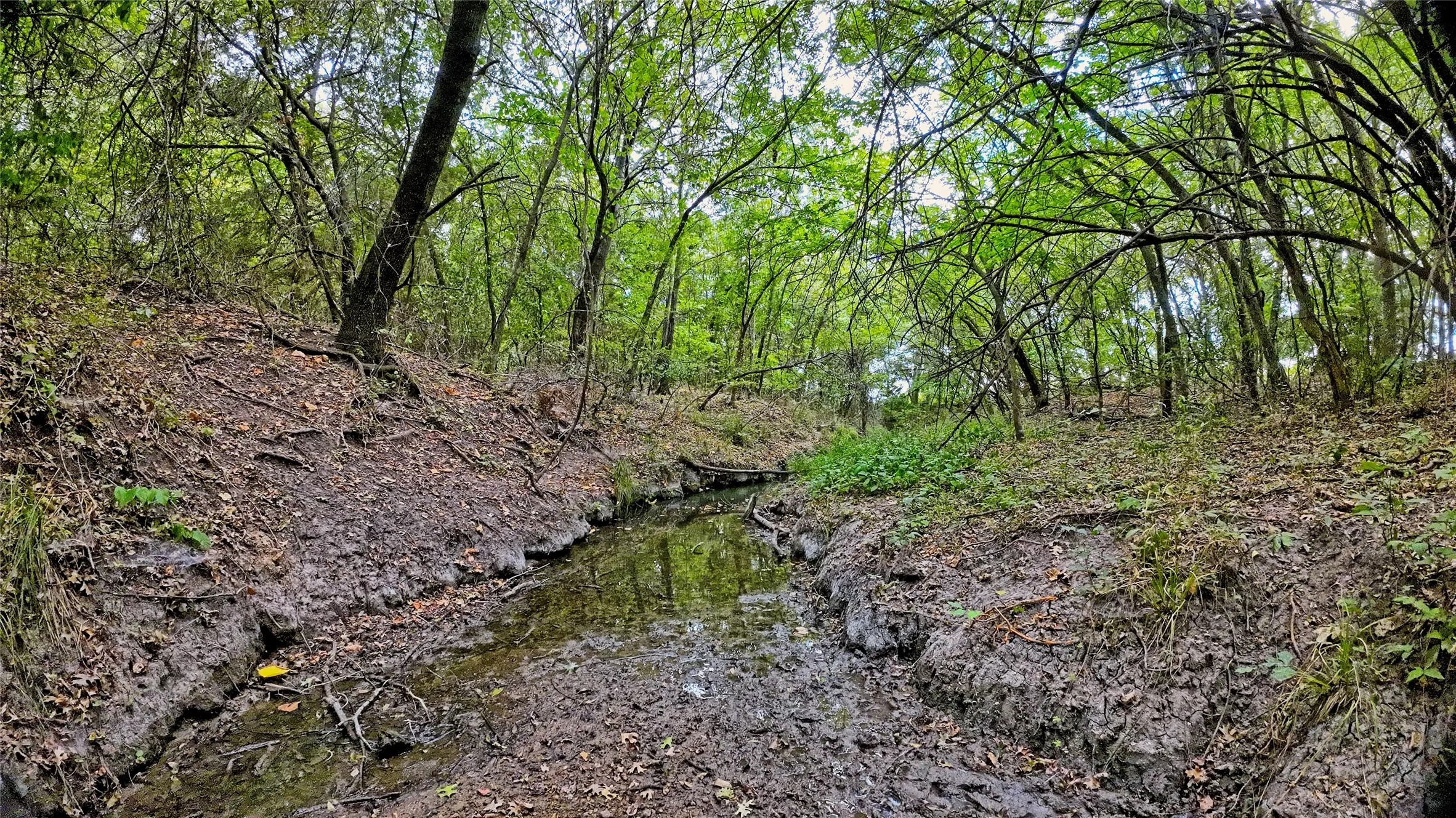 Unimproved Land For Sale in Montague County , TBD US-82, St Jo, Texas 76265, 0, 0, Garage spaces, 0 Sqft, built in 0, mls#21379617, Real Estate Agent in St Jo, Homes For Sale in Montague county, Homes For Sale in St Jo, Realtor in St Jo Texas, Real Estate Brokerage Independent Realty Texas, Luminita Cordes Realtor