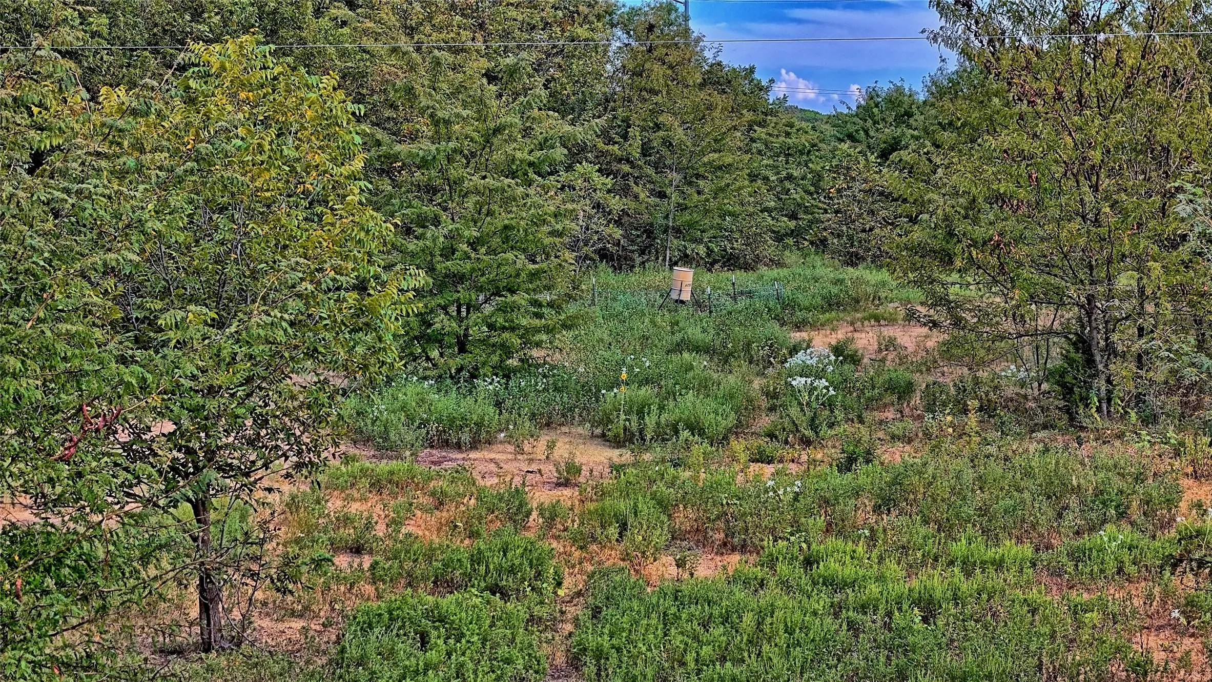 Unimproved Land For Sale in Montague County , TBD US-82, St Jo, Texas 76265, 0, 0, Garage spaces, 0 Sqft, built in 0, mls#21379617, Real Estate Agent in St Jo, Homes For Sale in Montague county, Homes For Sale in St Jo, Realtor in St Jo Texas, Real Estate Brokerage Independent Realty Texas, Luminita Cordes Realtor