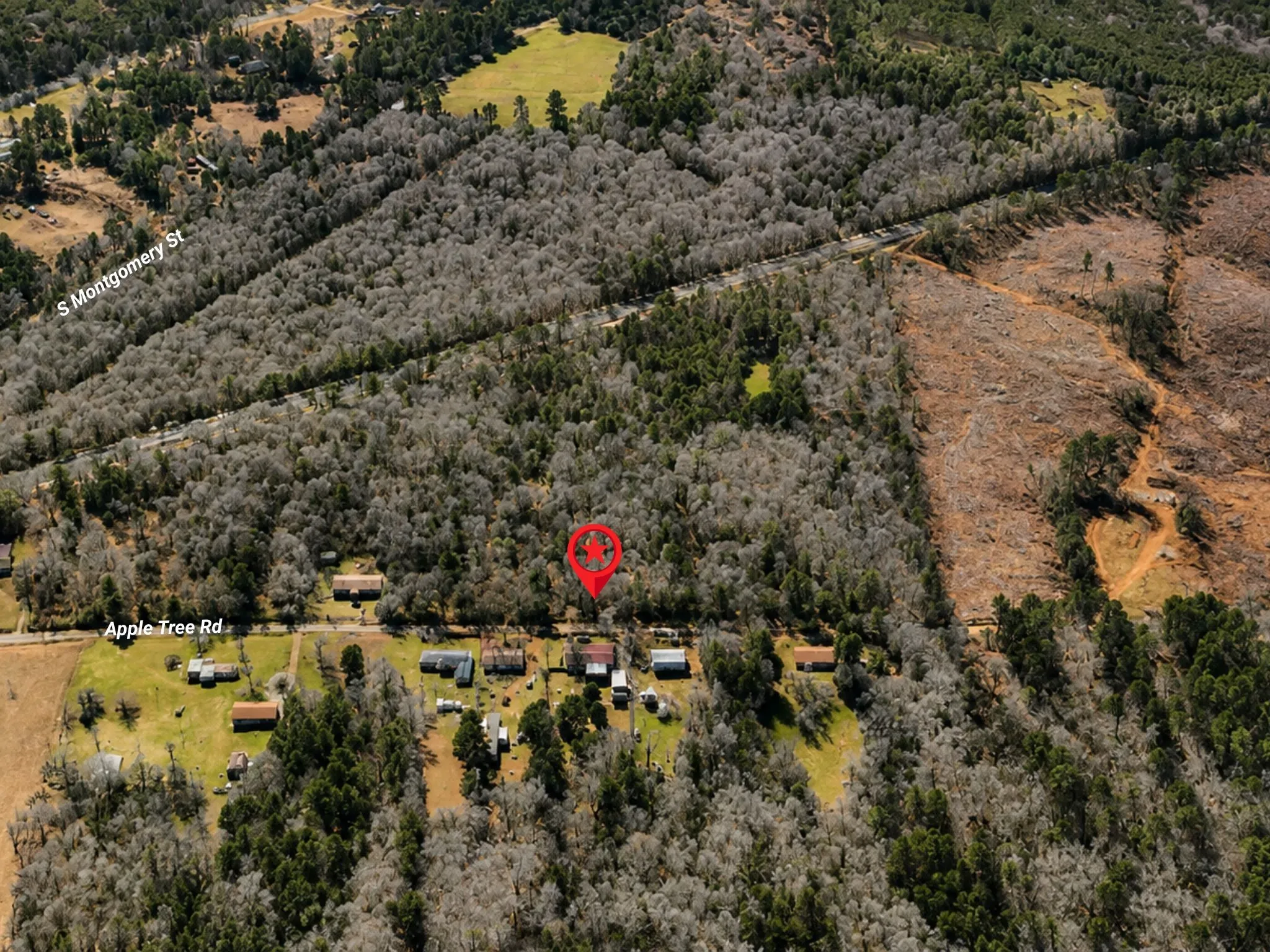 Unimproved Land For Sale in Upshur County , 0000 Apple Tree Road, Gilmer, Texas 75644, 0, 0, Garage spaces, 0 Sqft, built in 0, mls#21379659, Real Estate Agent in Gilmer, Homes For Sale in Upshur county, Homes For Sale in Gilmer, Realtor in Gilmer Texas, Real Estate Brokerage Independent Realty Texas, Luminita Cordes Realtor