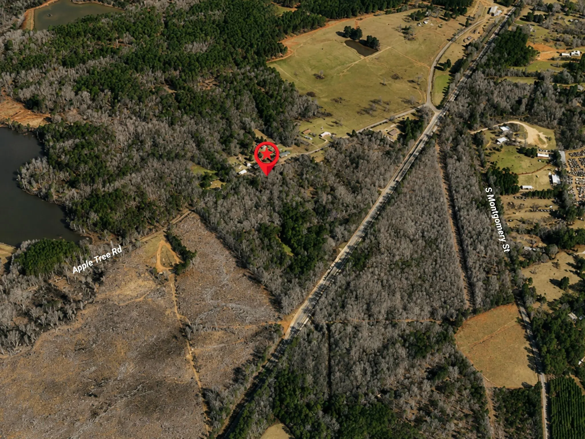Unimproved Land For Sale in Upshur County , 0000 Apple Tree Road, Gilmer, Texas 75644, 0, 0, Garage spaces, 0 Sqft, built in 0, mls#21379659, Real Estate Agent in Gilmer, Homes For Sale in Upshur county, Homes For Sale in Gilmer, Realtor in Gilmer Texas, Real Estate Brokerage Independent Realty Texas, Luminita Cordes Realtor