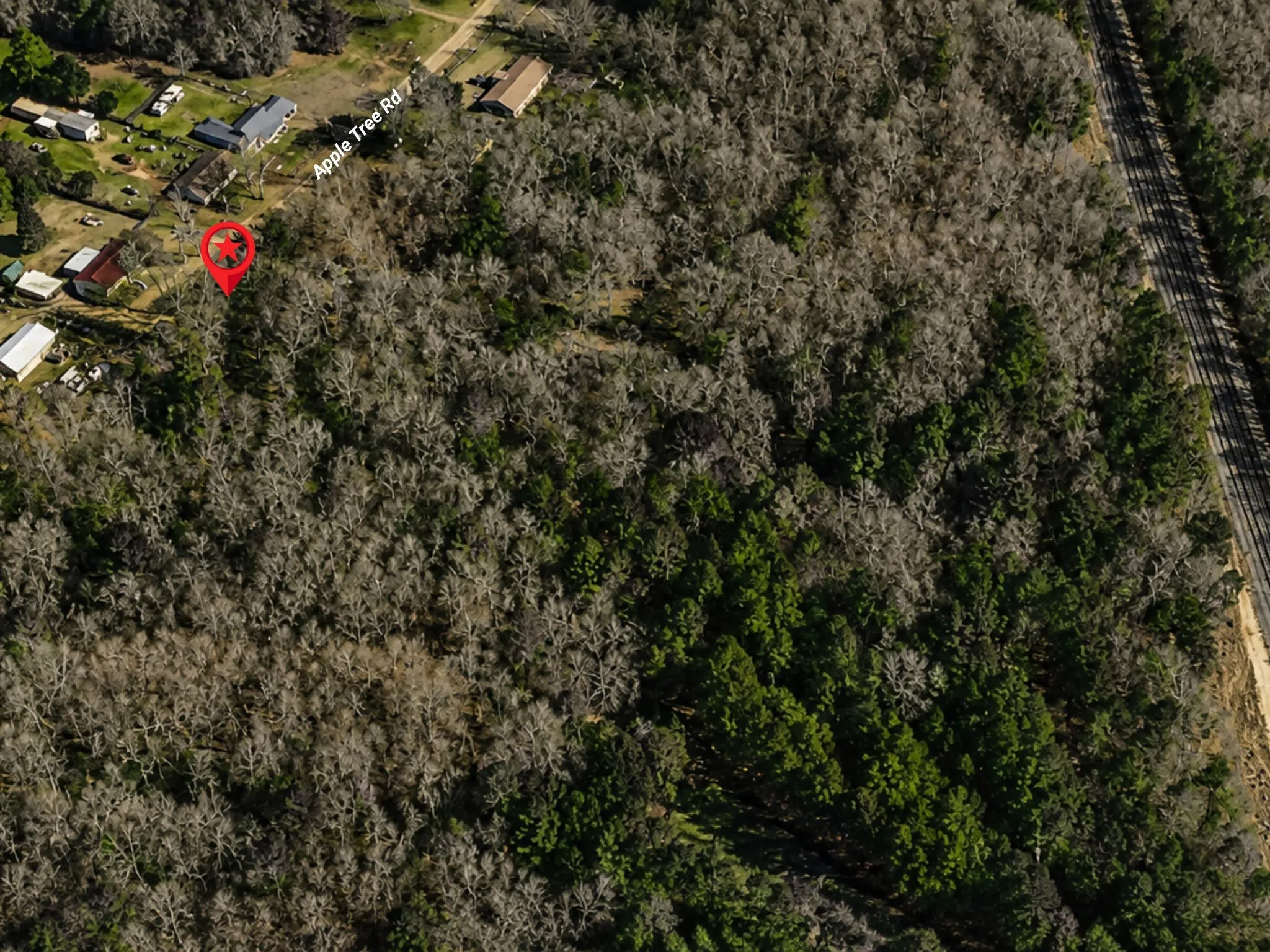 Unimproved Land For Sale in Upshur County , 0000 Apple Tree Road, Gilmer, Texas 75644, 0, 0, Garage spaces, 0 Sqft, built in 0, mls#21379659, Real Estate Agent in Gilmer, Homes For Sale in Upshur county, Homes For Sale in Gilmer, Realtor in Gilmer Texas, Real Estate Brokerage Independent Realty Texas, Luminita Cordes Realtor