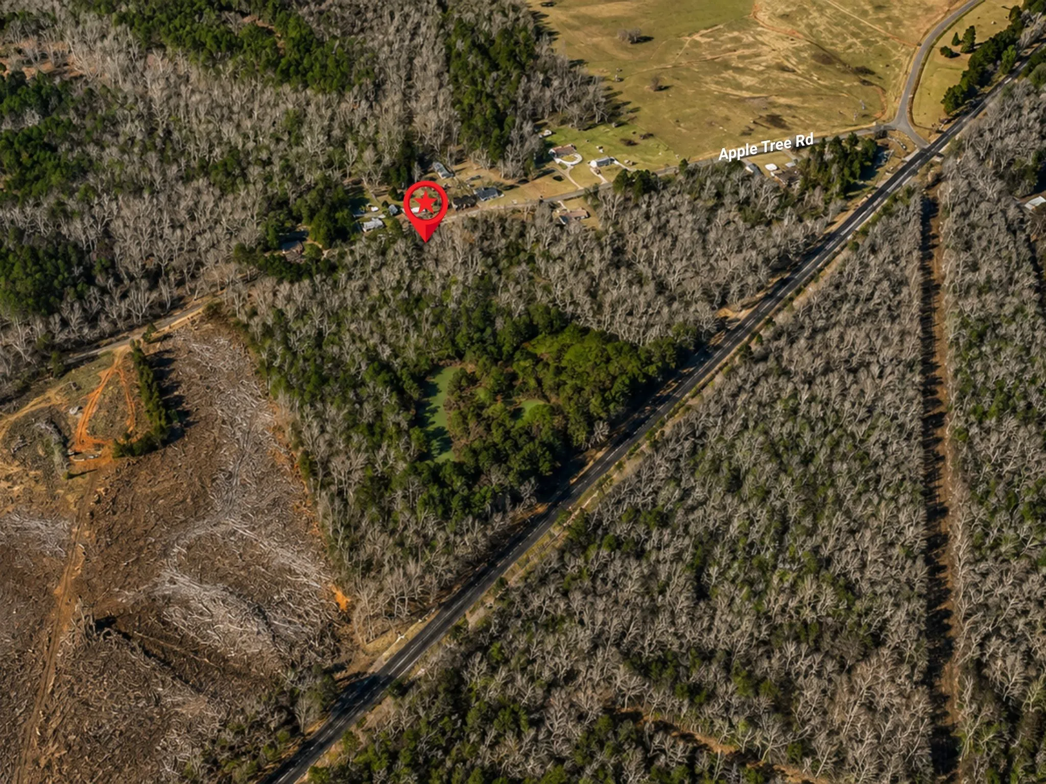 Unimproved Land For Sale in Upshur County , 0000 Apple Tree Road, Gilmer, Texas 75644, 0, 0, Garage spaces, 0 Sqft, built in 0, mls#21379659, Real Estate Agent in Gilmer, Homes For Sale in Upshur county, Homes For Sale in Gilmer, Realtor in Gilmer Texas, Real Estate Brokerage Independent Realty Texas, Luminita Cordes Realtor