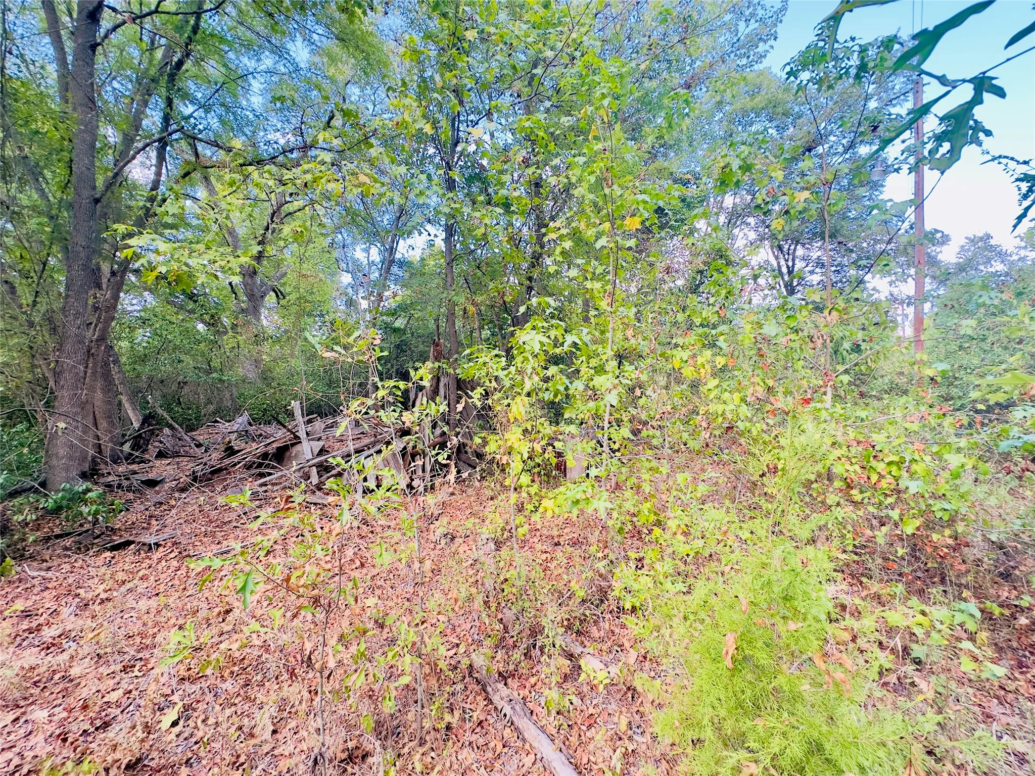 Unimproved Land For Sale in Upshur County , 0000 Apple Tree Road, Gilmer, Texas 75644, 0, 0, Garage spaces, 0 Sqft, built in 0, mls#21379659, Real Estate Agent in Gilmer, Homes For Sale in Upshur county, Homes For Sale in Gilmer, Realtor in Gilmer Texas, Real Estate Brokerage Independent Realty Texas, Luminita Cordes Realtor