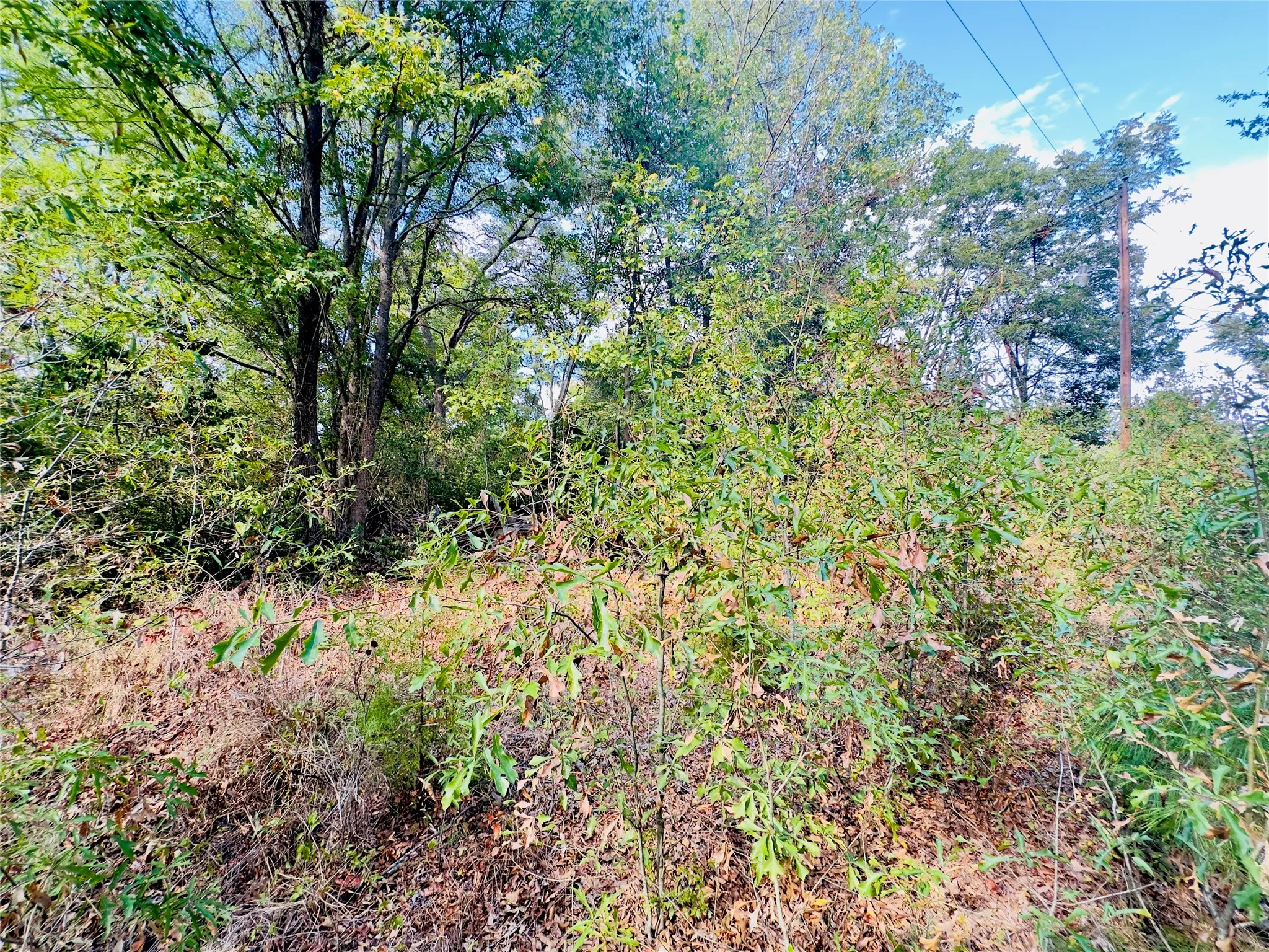 Unimproved Land For Sale in Upshur County , 0000 Apple Tree Road, Gilmer, Texas 75644, 0, 0, Garage spaces, 0 Sqft, built in 0, mls#21379659, Real Estate Agent in Gilmer, Homes For Sale in Upshur county, Homes For Sale in Gilmer, Realtor in Gilmer Texas, Real Estate Brokerage Independent Realty Texas, Luminita Cordes Realtor