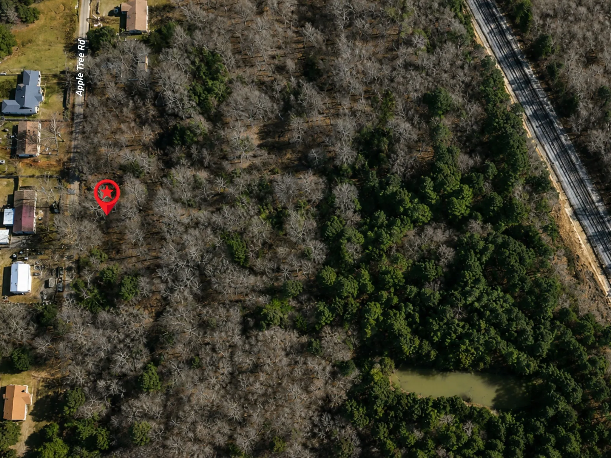 Unimproved Land For Sale in Upshur County , 0000 Apple Tree Road, Gilmer, Texas 75644, 0, 0, Garage spaces, 0 Sqft, built in 0, mls#21379659, Real Estate Agent in Gilmer, Homes For Sale in Upshur county, Homes For Sale in Gilmer, Realtor in Gilmer Texas, Real Estate Brokerage Independent Realty Texas, Luminita Cordes Realtor