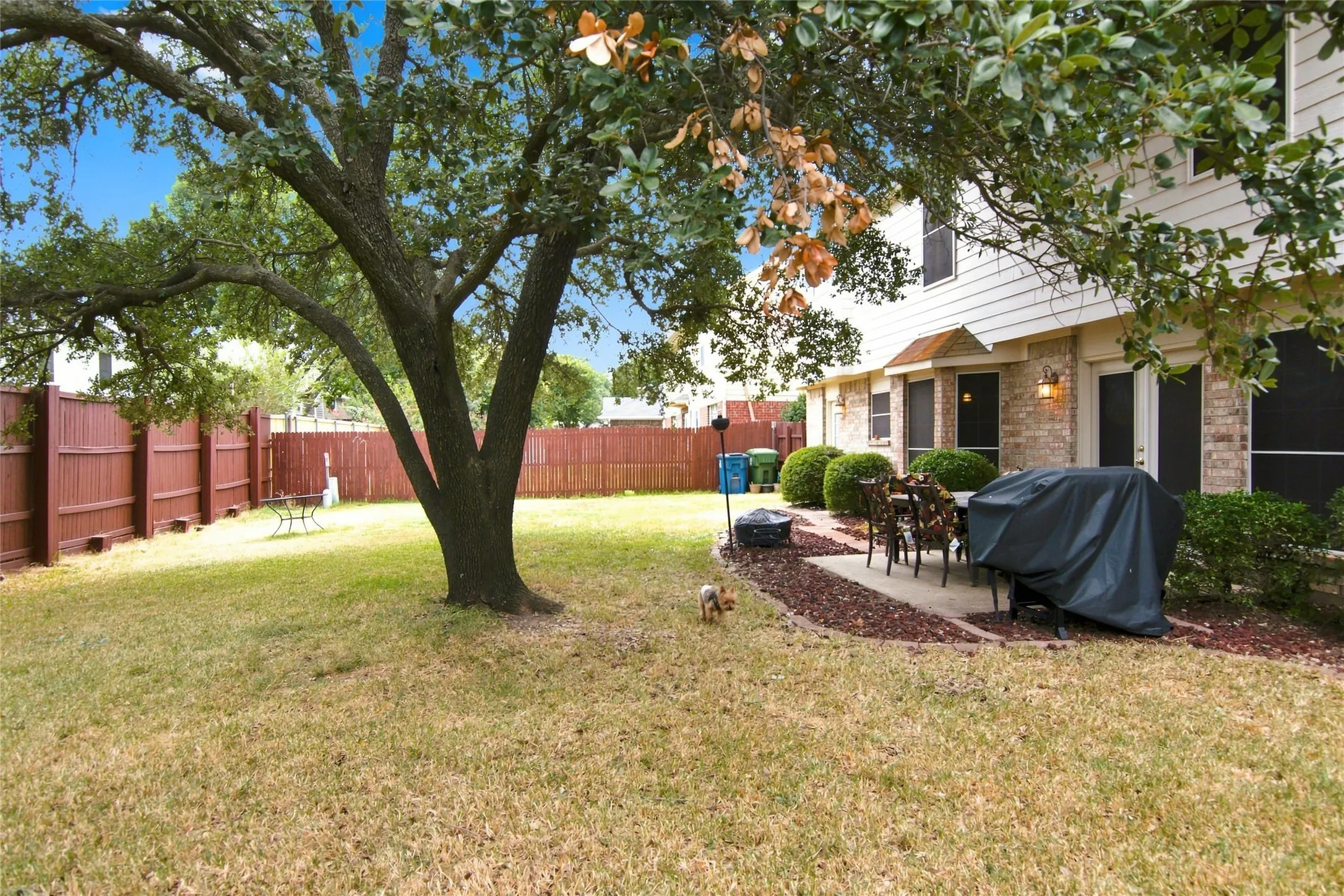 Large Backyard