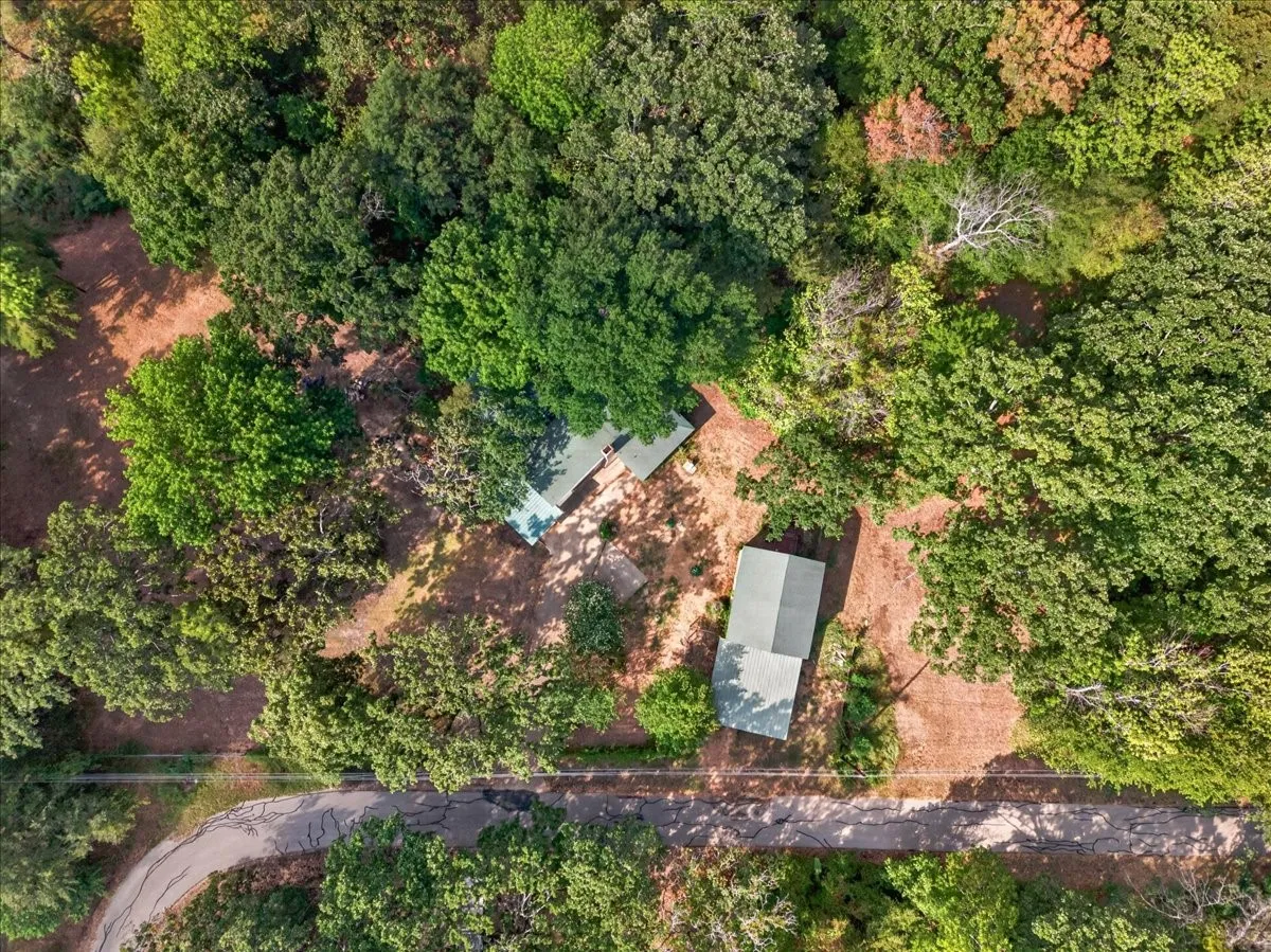 Two structures with pitched roofs surrounded by dense tree canopy and a paved road