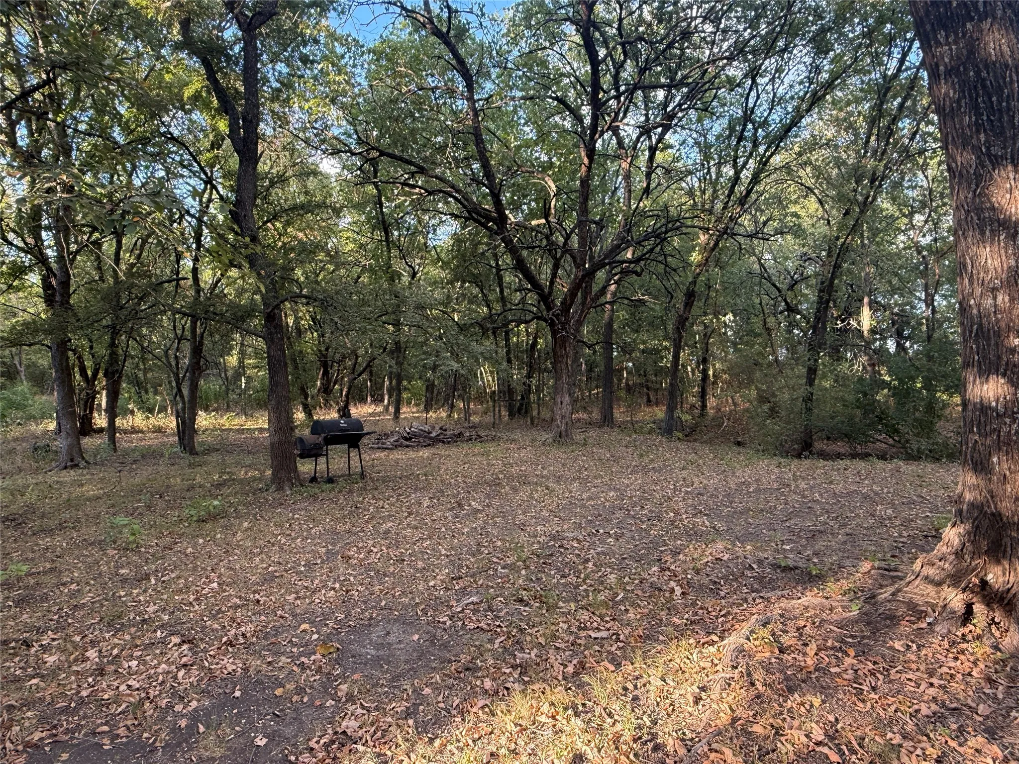 Single Family Residence For Rent in Fannin County , 288 County Road 4430, Whitewright, Texas 75491, 3 Bedroom, 2 Bathroom, Garage spaces, 1,391 Sqft, built in 1992, mls#21379694, Real Estate Agent in Whitewright, Homes For Rent in Fannin county, Homes For Rent in Whitewright, Realtor in Whitewright Texas, Real Estate Brokerage Independent Realty Texas, Luminita Cordes Realtor