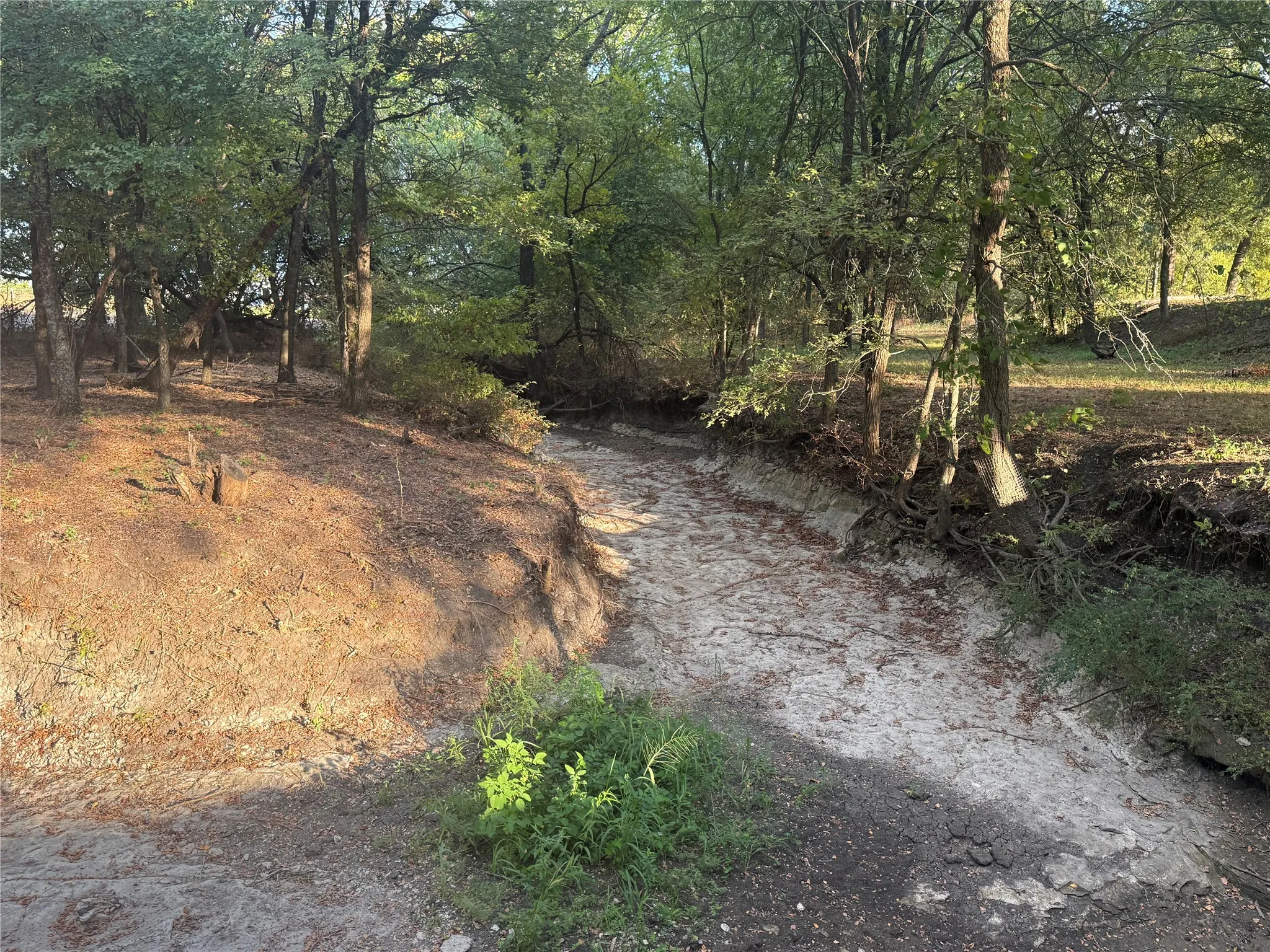 Single Family Residence For Rent in Fannin County , 288 County Road 4430, Whitewright, Texas 75491, 3 Bedroom, 2 Bathroom, Garage spaces, 1,391 Sqft, built in 1992, mls#21379694, Real Estate Agent in Whitewright, Homes For Rent in Fannin county, Homes For Rent in Whitewright, Realtor in Whitewright Texas, Real Estate Brokerage Independent Realty Texas, Luminita Cordes Realtor