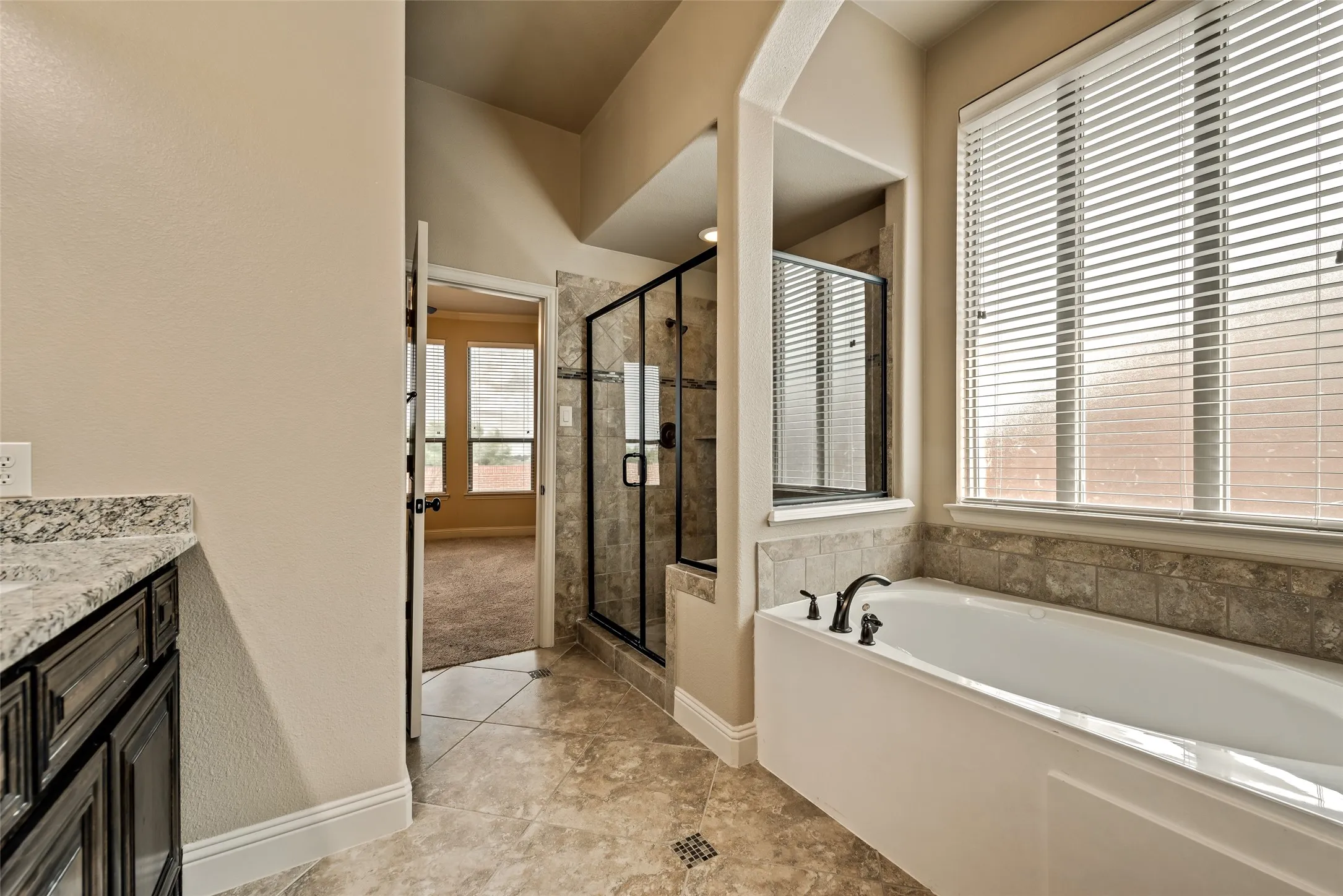 Single Family Residence For Rent in Rockwall County , 696 Dover Street, Fate, Texas 75189, 3 Bedroom, 2 Bathroom, 2 Garage spaces, 1,882 Sqft, built in 2013, mls#21379695, Real Estate Agent in Fate, Homes For Rent in Rockwall county, Homes For Rent in Fate, Realtor in Fate Texas, Real Estate Brokerage Independent Realty Texas, Luminita Cordes Realtor