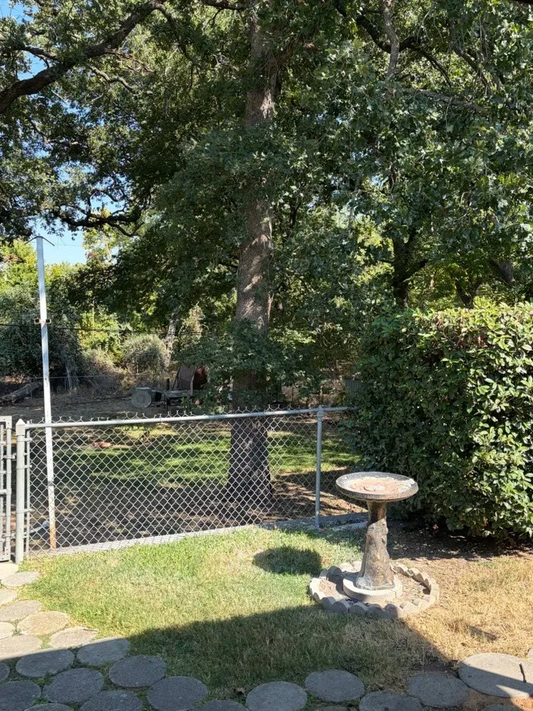Small back yard