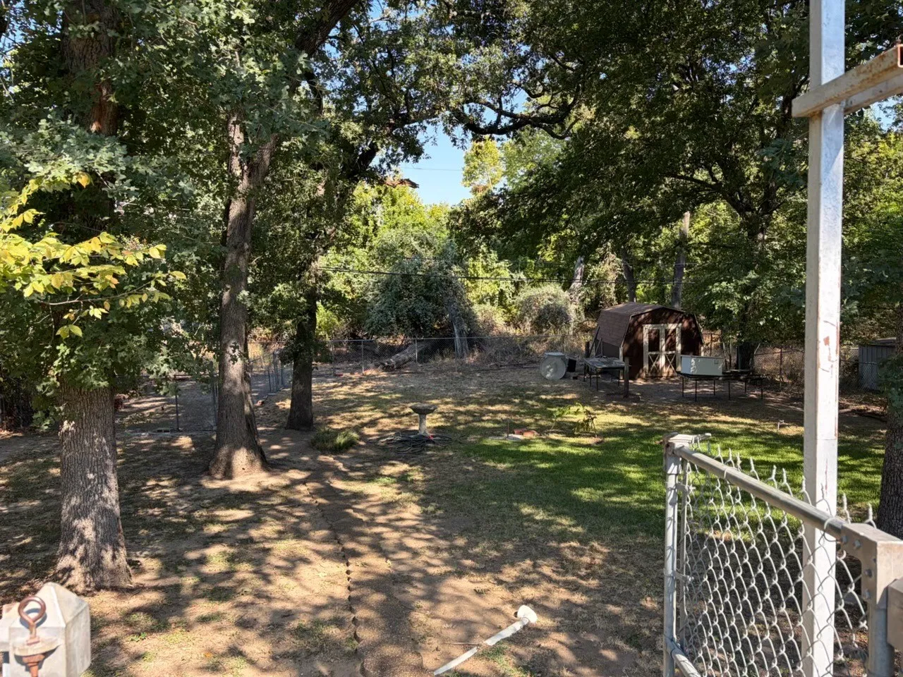 Large lower back yard