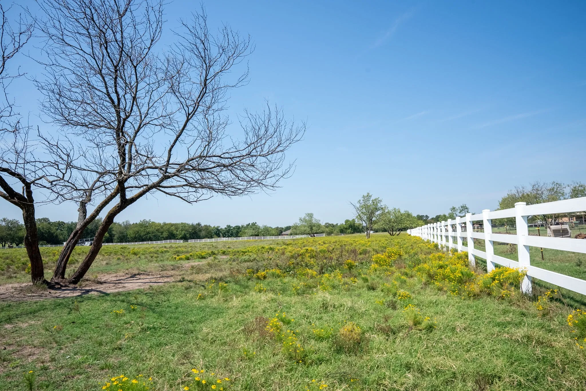Unimproved Land For Sale in Denton County , 3475 Sauls, Aubrey, Texas 76228, 0, 0, Garage spaces, 0 Sqft, built in 0, mls#21379701, Real Estate Agent in Aubrey, Homes For Sale in Denton county, Homes For Sale in Aubrey, Realtor in Aubrey Texas, Real Estate Brokerage Independent Realty Texas, Luminita Cordes Realtor