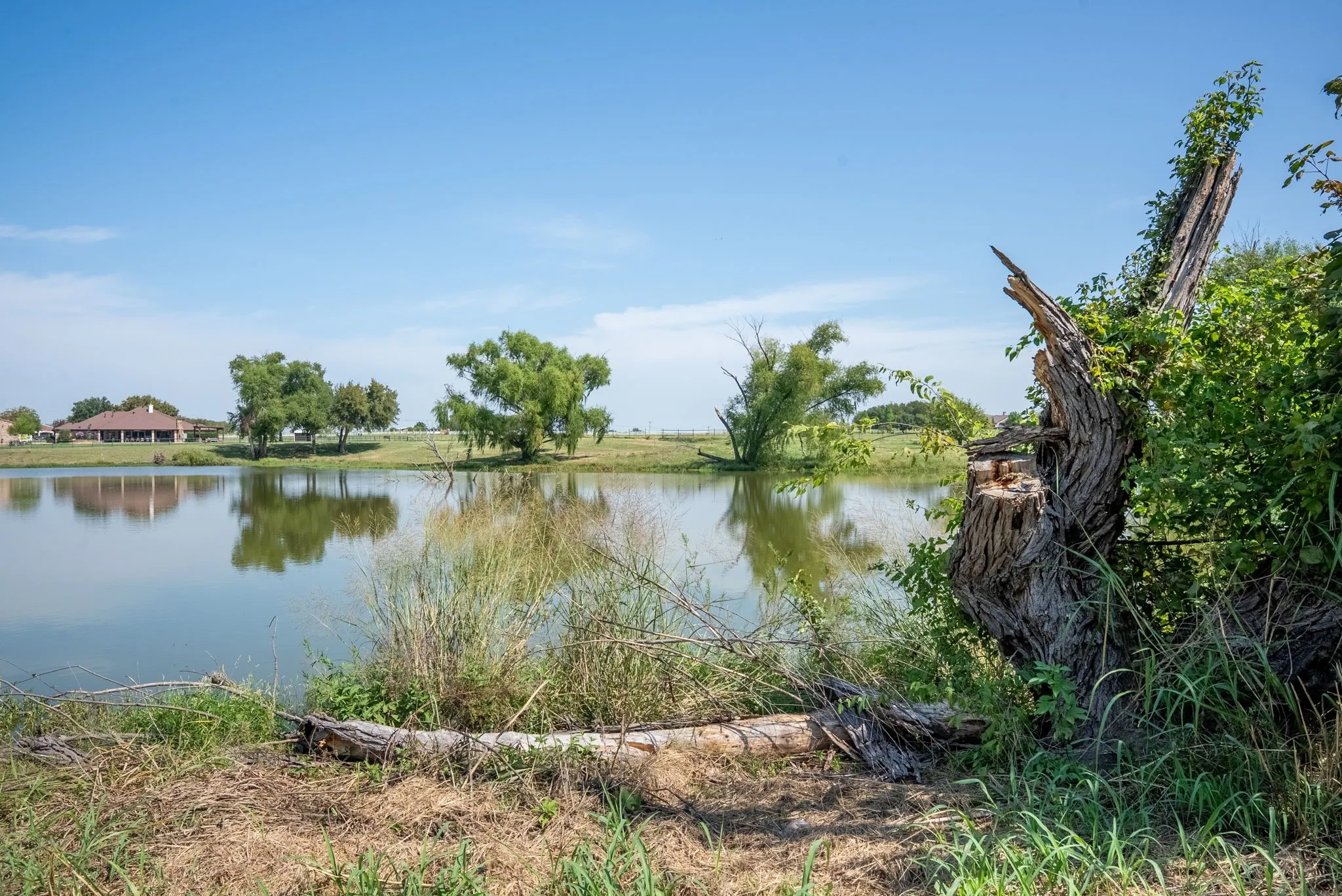 Unimproved Land For Sale in Denton County , 3475 Sauls, Aubrey, Texas 76228, 0, 0, Garage spaces, 0 Sqft, built in 0, mls#21379701, Real Estate Agent in Aubrey, Homes For Sale in Denton county, Homes For Sale in Aubrey, Realtor in Aubrey Texas, Real Estate Brokerage Independent Realty Texas, Luminita Cordes Realtor