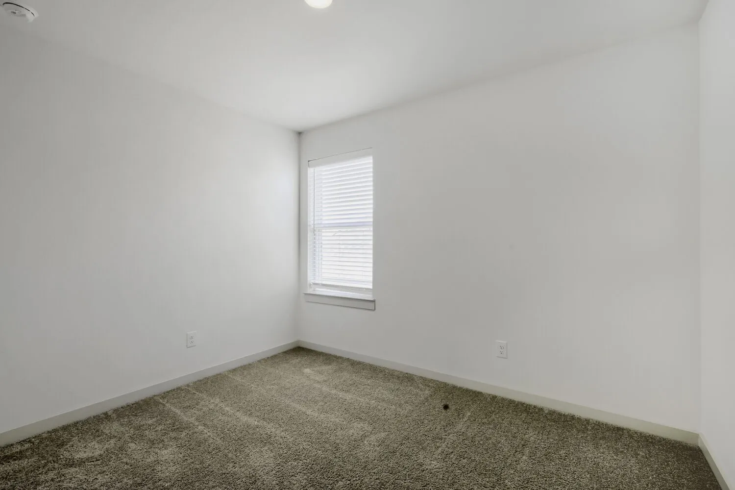 Recessed lighting, window with blinds, and neutral-toned carpet
