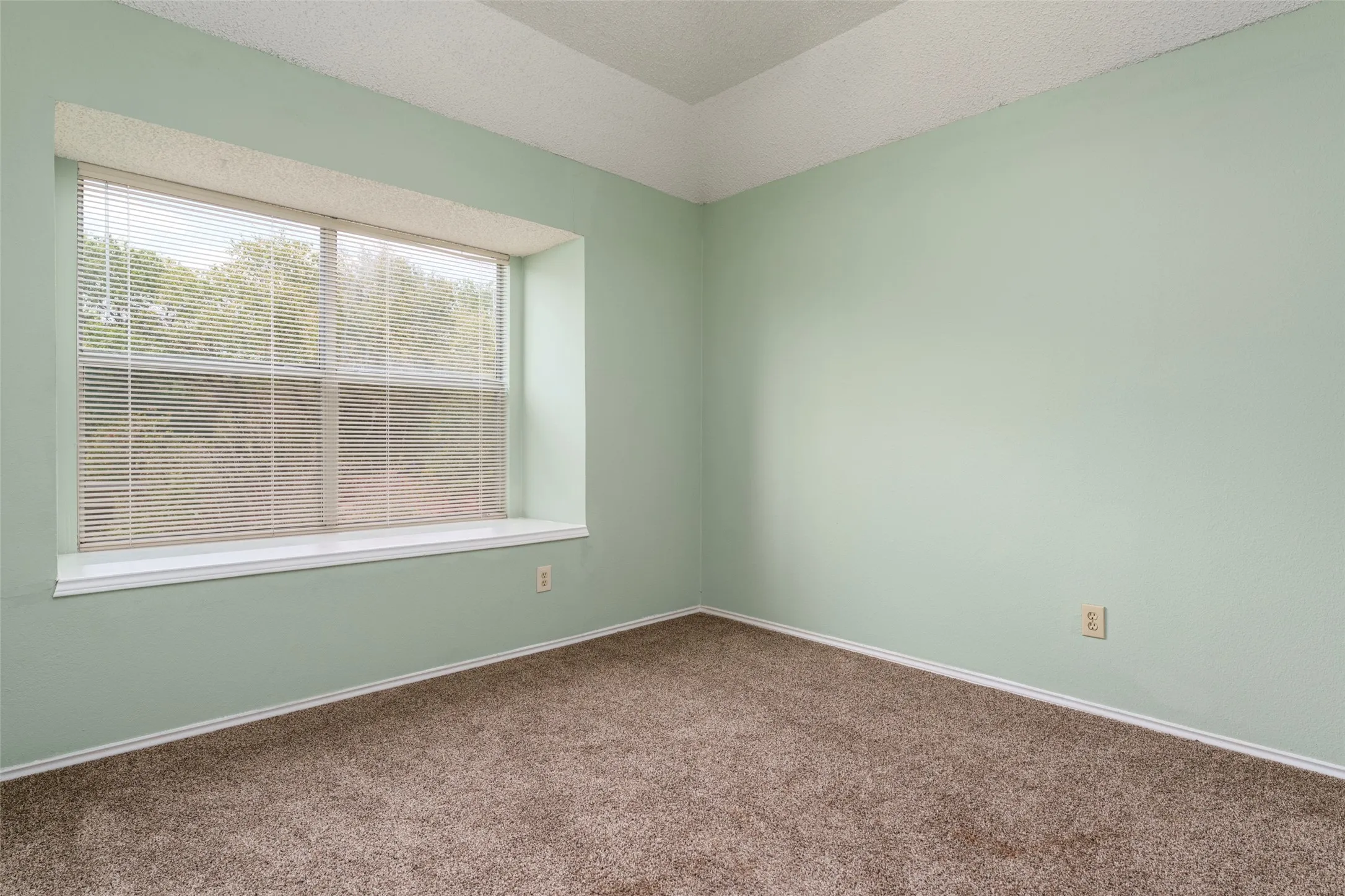 Textured carpet flooring, window with blinds, and tray ceiling detail