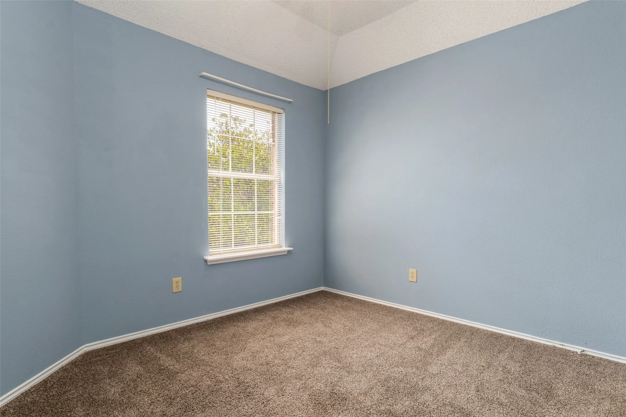 Soft blue painted walls with carpet flooring