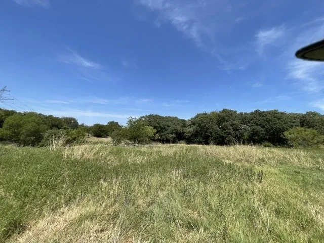 Expansive open field with natural grass and a backdrop of mature trees