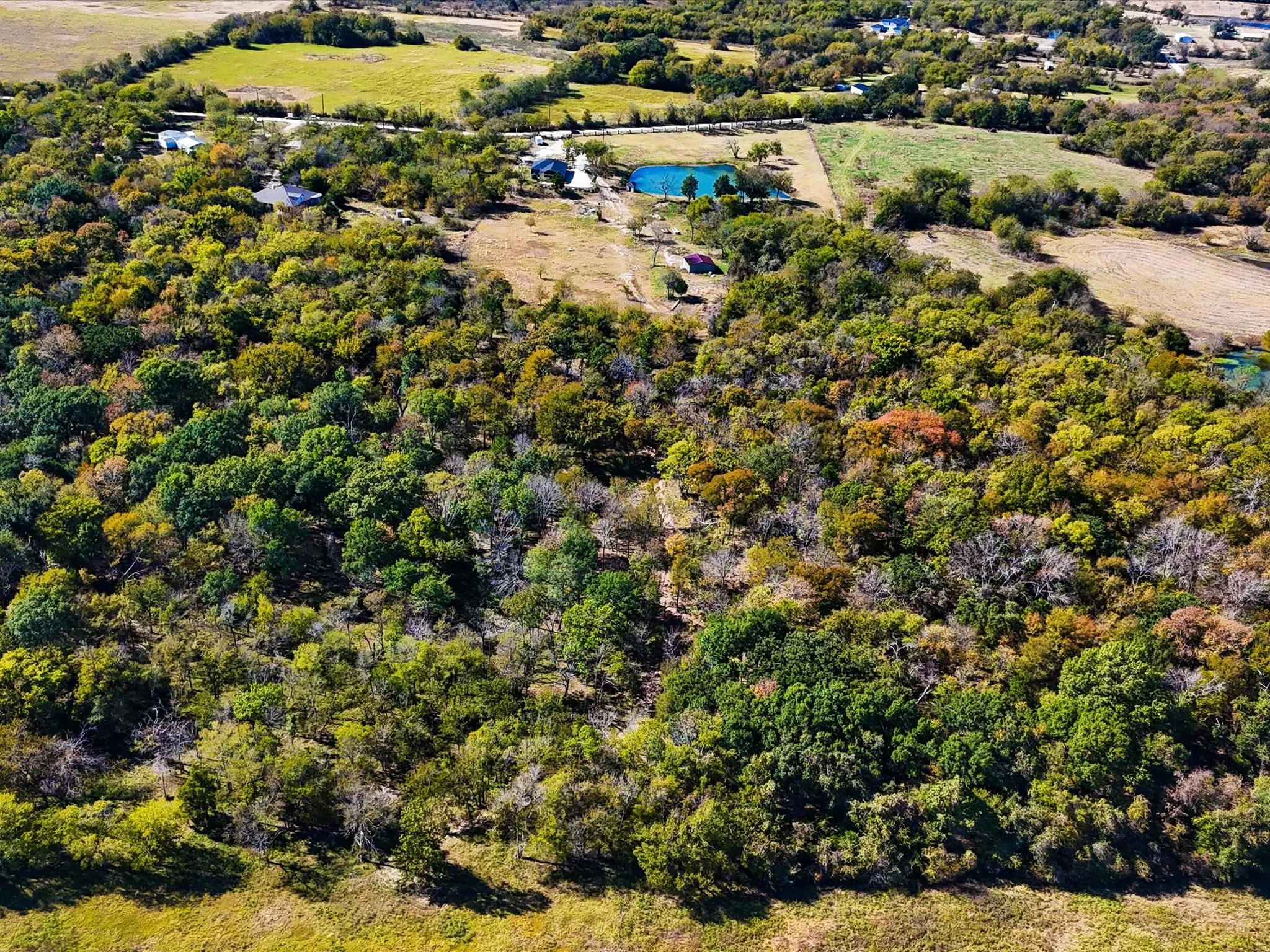 Expansive natural landscape featuring dense tree coverage