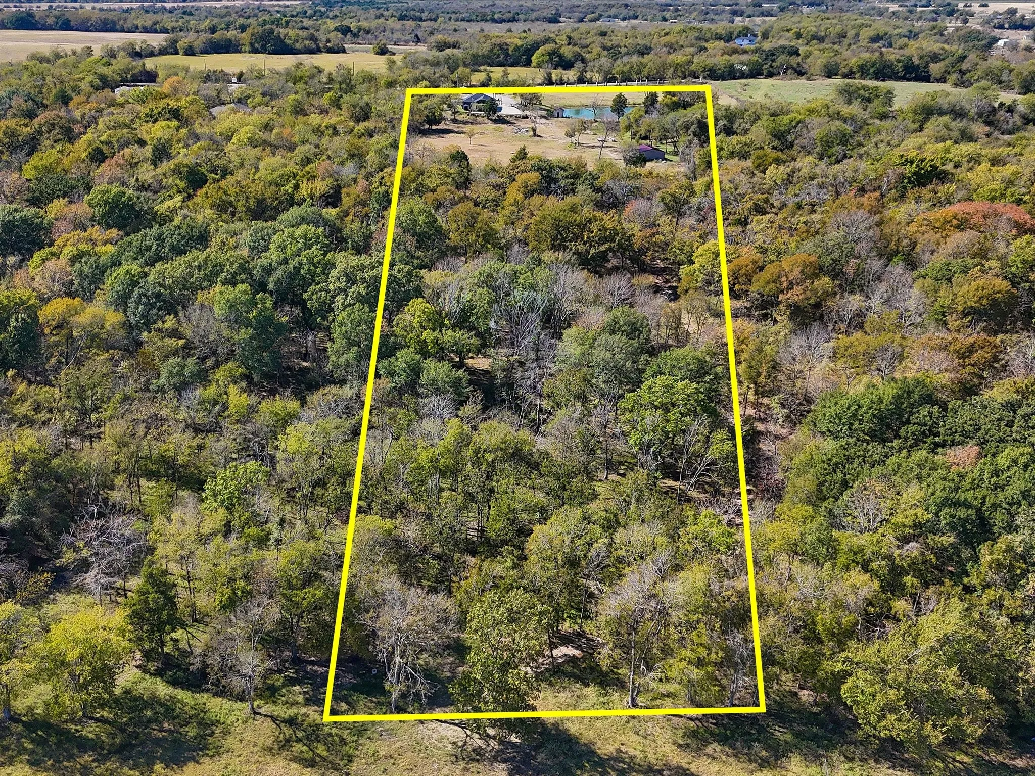 Expansive wooded lot featuring mature trees and a tranquil pond