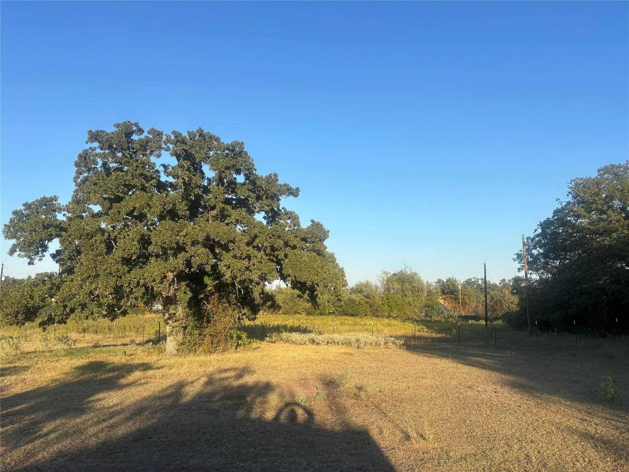 Expansive lot with mature trees and natural landscaping