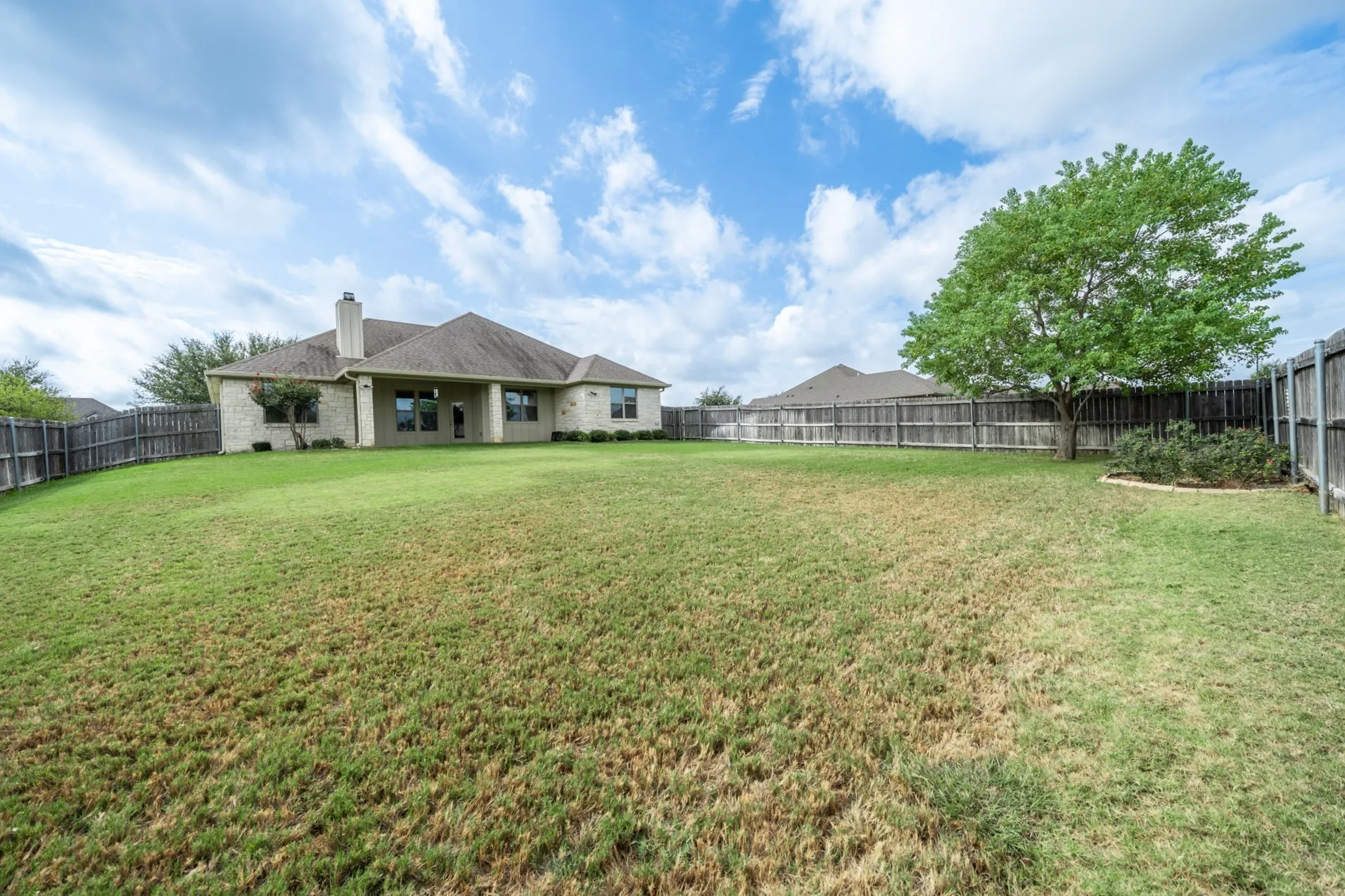 Back yard