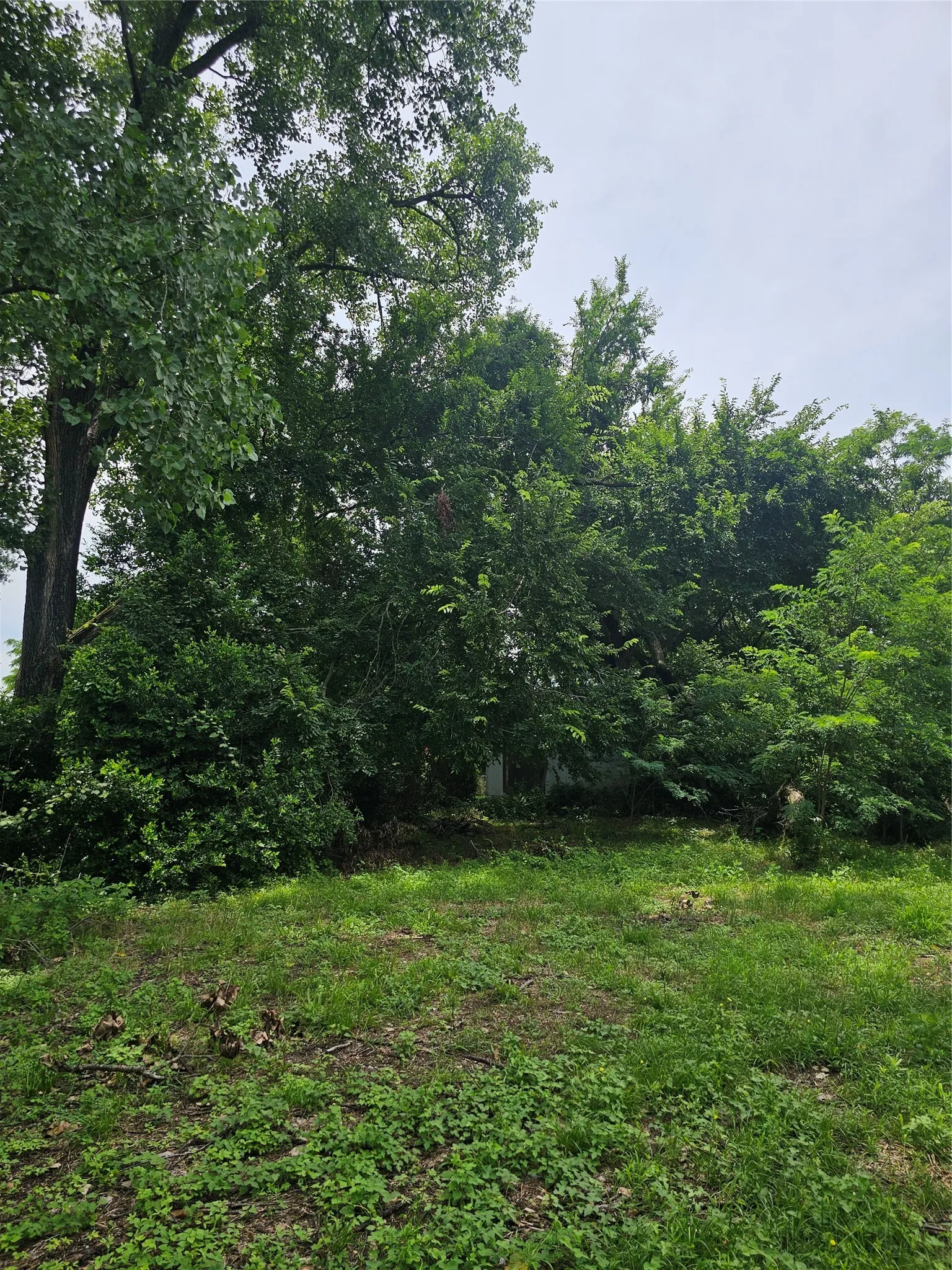 Unimproved Land For Sale in Freestone County , 706 Spruce Street, Teague, Texas 75860, 0, 0, Garage spaces, 0 Sqft, built in 0, mls#21376561, Real Estate Agent in Teague, Homes For Sale in Freestone county, Homes For Sale in Teague, Realtor in Teague Texas, Real Estate Brokerage Independent Realty Texas, Luminita Cordes Realtor
