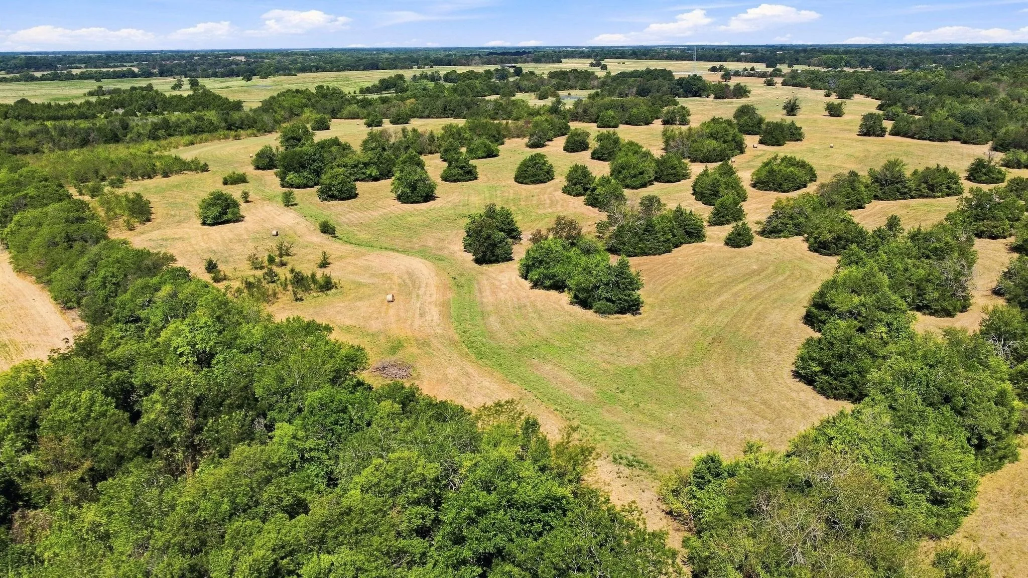 Improved Land For Sale in Lamar County , TBD Farm Road 38, Roxton, Texas 75477, 0, 0, Garage spaces, 0 Sqft, built in 0, mls#21379817, Real Estate Agent in Roxton, Homes For Sale in Lamar county, Homes For Sale in Roxton, Realtor in Roxton Texas, Real Estate Brokerage Independent Realty Texas, Luminita Cordes Realtor