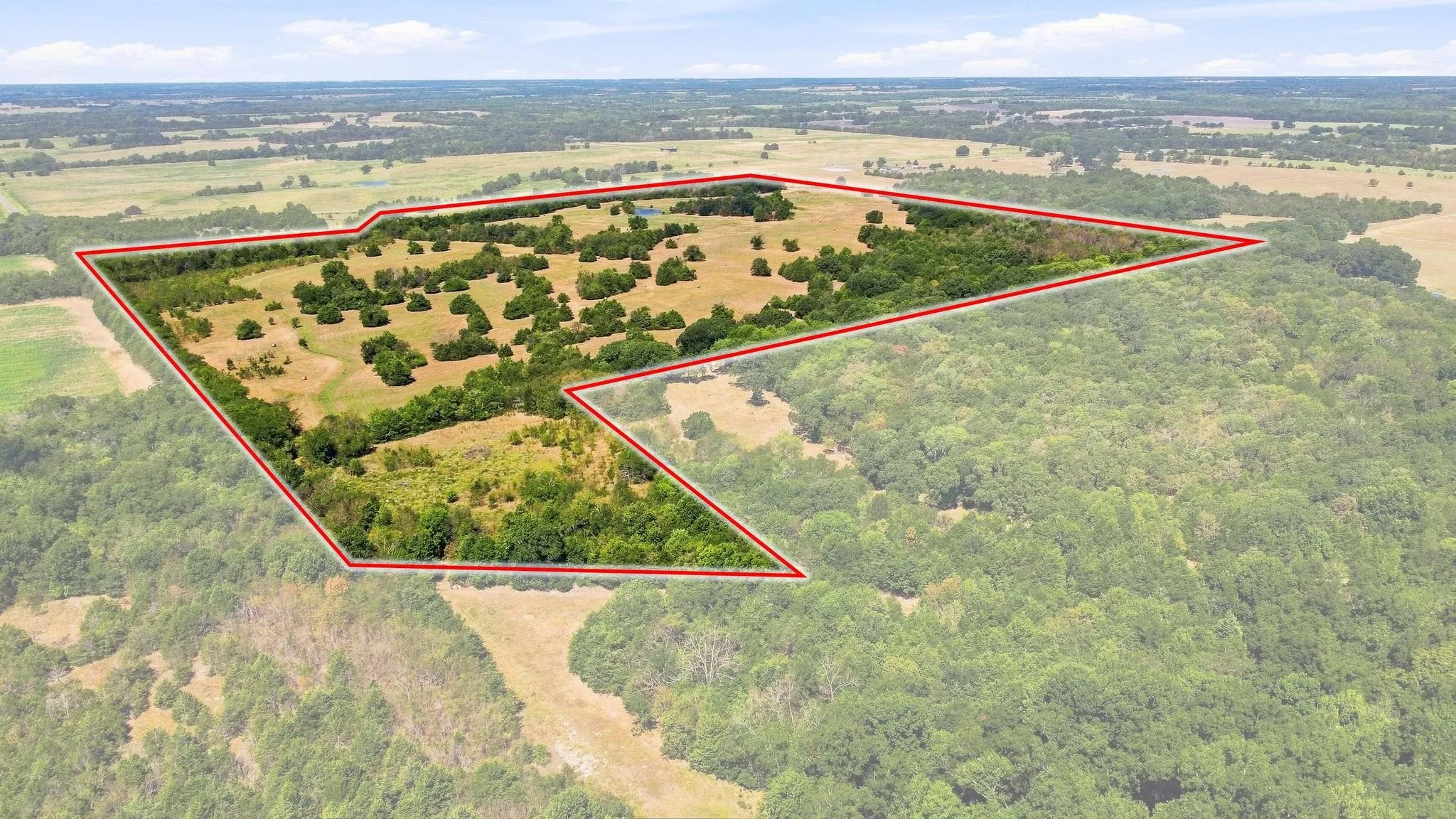 Improved Land For Sale in Lamar County , TBD Farm Road 38, Roxton, Texas 75477, 0, 0, Garage spaces, 0 Sqft, built in 0, mls#21379817, Real Estate Agent in Roxton, Homes For Sale in Lamar county, Homes For Sale in Roxton, Realtor in Roxton Texas, Real Estate Brokerage Independent Realty Texas, Luminita Cordes Realtor