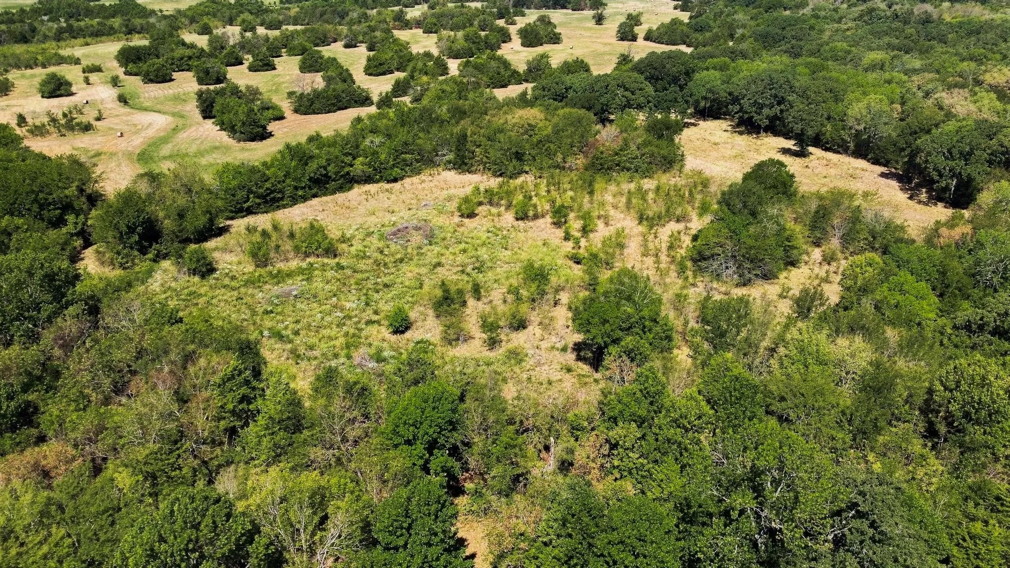 Improved Land For Sale in Lamar County , TBD Farm Road 38, Roxton, Texas 75477, 0, 0, Garage spaces, 0 Sqft, built in 0, mls#21379817, Real Estate Agent in Roxton, Homes For Sale in Lamar county, Homes For Sale in Roxton, Realtor in Roxton Texas, Real Estate Brokerage Independent Realty Texas, Luminita Cordes Realtor