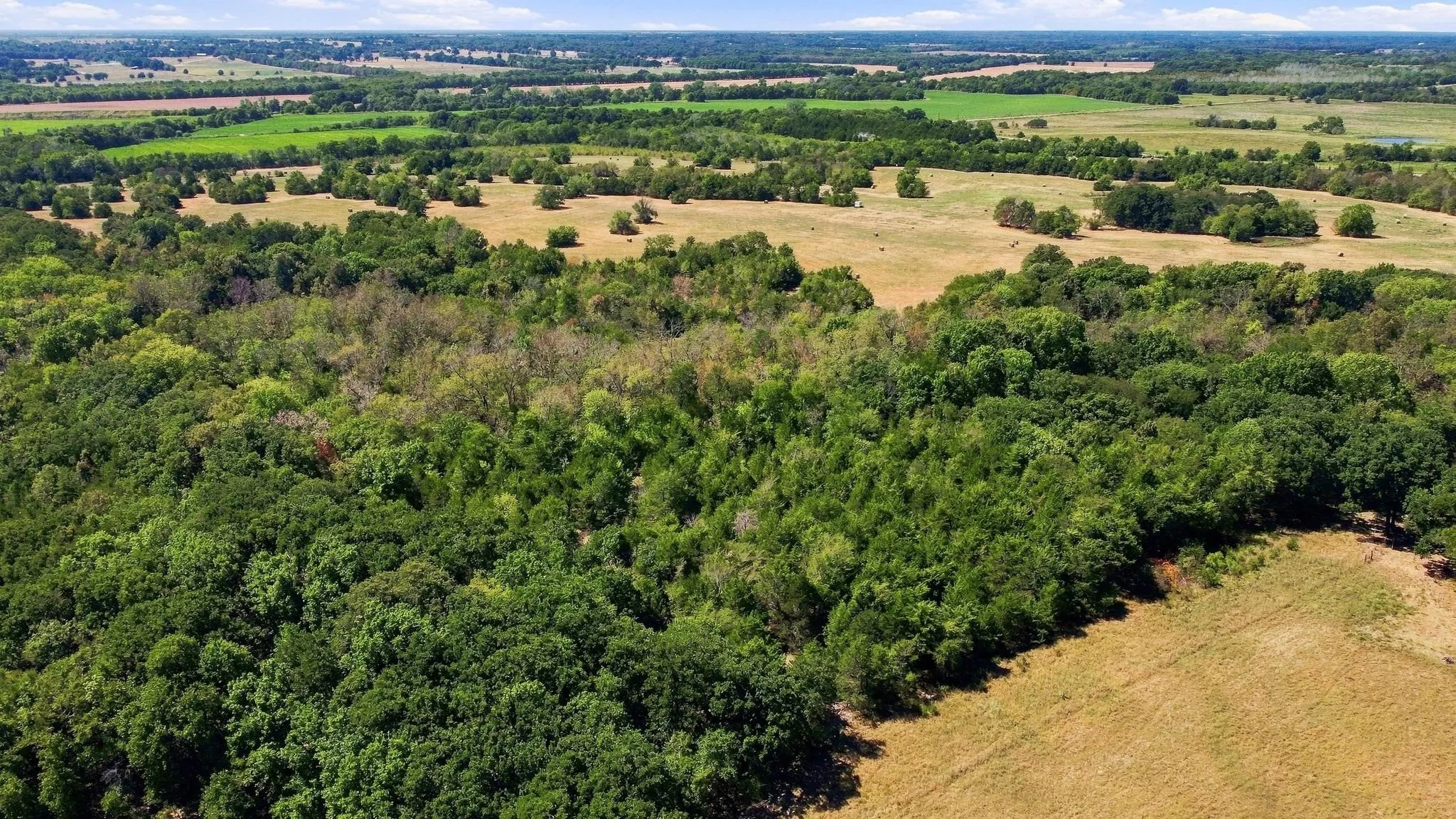 Improved Land For Sale in Lamar County , TBD Farm Road 38, Roxton, Texas 75477, 0, 0, Garage spaces, 0 Sqft, built in 0, mls#21379817, Real Estate Agent in Roxton, Homes For Sale in Lamar county, Homes For Sale in Roxton, Realtor in Roxton Texas, Real Estate Brokerage Independent Realty Texas, Luminita Cordes Realtor