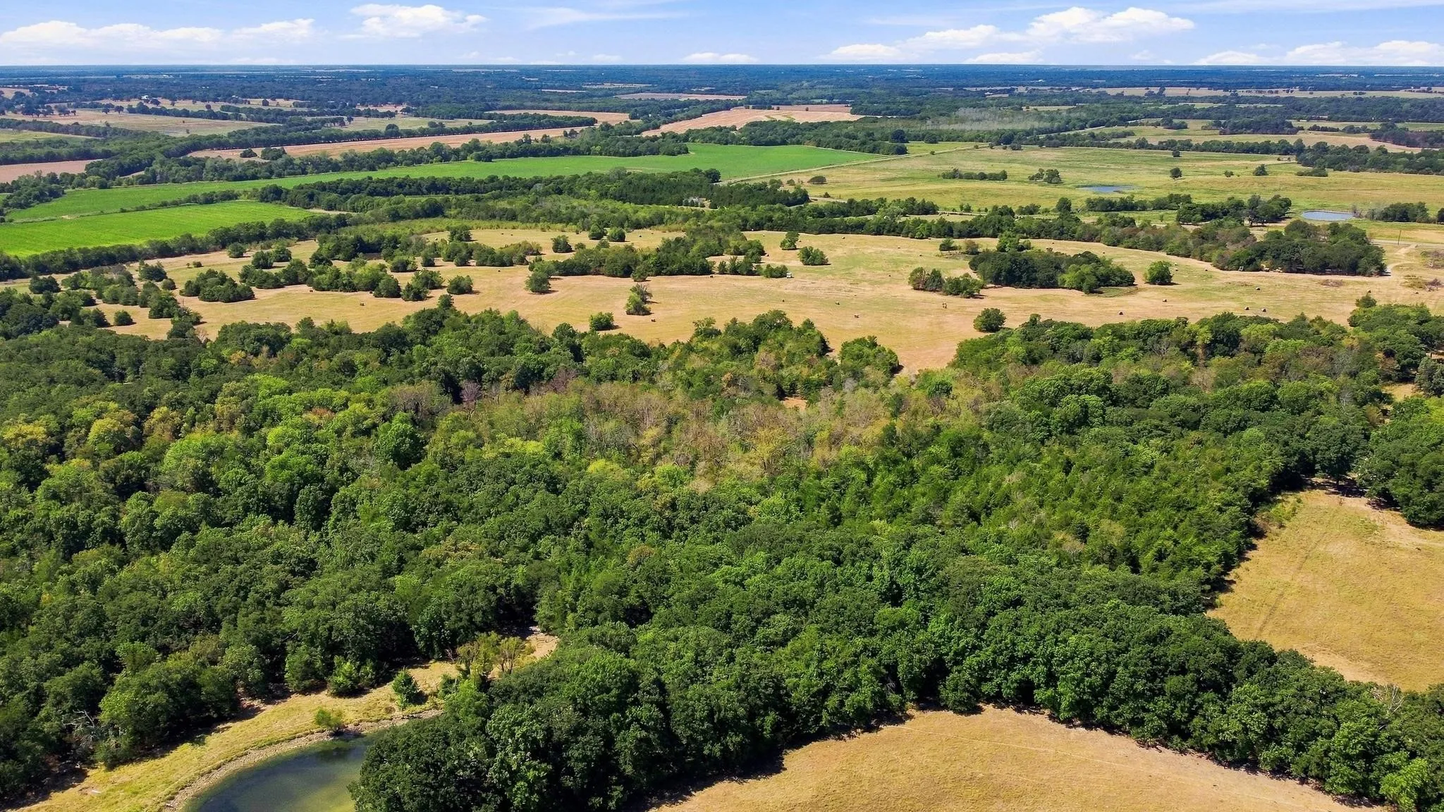Improved Land For Sale in Lamar County , TBD Farm Road 38, Roxton, Texas 75477, 0, 0, Garage spaces, 0 Sqft, built in 0, mls#21379817, Real Estate Agent in Roxton, Homes For Sale in Lamar county, Homes For Sale in Roxton, Realtor in Roxton Texas, Real Estate Brokerage Independent Realty Texas, Luminita Cordes Realtor