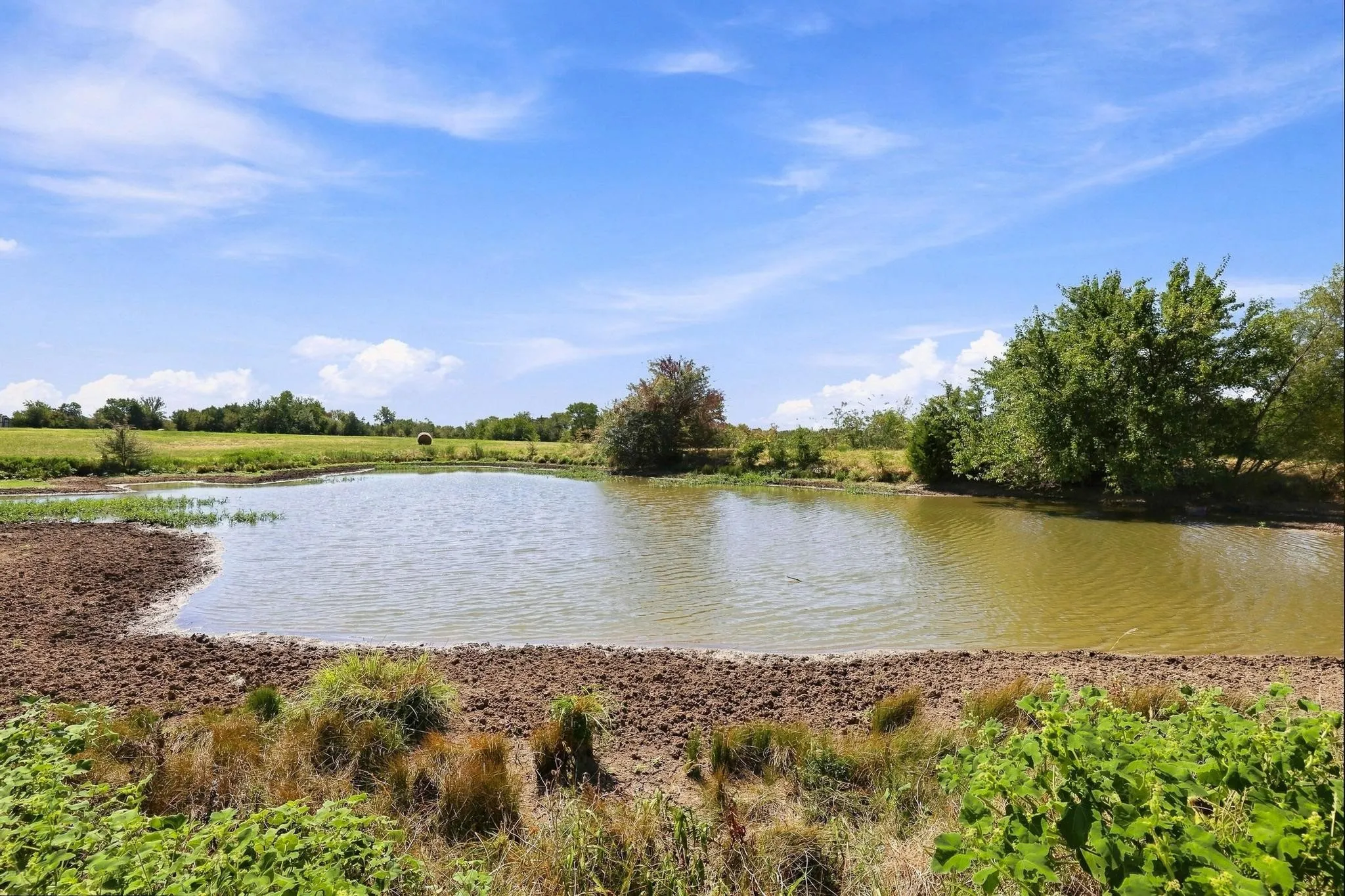Improved Land For Sale in Lamar County , TBD Farm Road 38, Roxton, Texas 75477, 0, 0, Garage spaces, 0 Sqft, built in 0, mls#21379817, Real Estate Agent in Roxton, Homes For Sale in Lamar county, Homes For Sale in Roxton, Realtor in Roxton Texas, Real Estate Brokerage Independent Realty Texas, Luminita Cordes Realtor