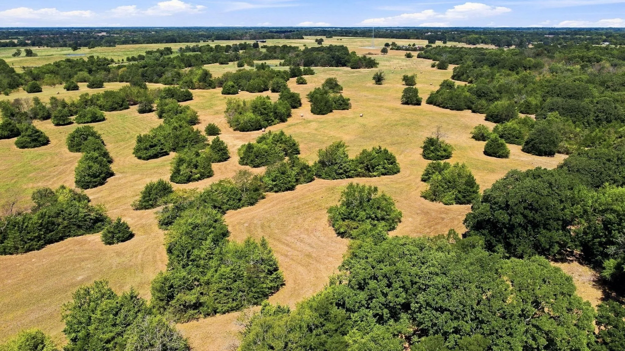 Improved Land For Sale in Lamar County , TBD Farm Road 38, Roxton, Texas 75477, 0, 0, Garage spaces, 0 Sqft, built in 0, mls#21379817, Real Estate Agent in Roxton, Homes For Sale in Lamar county, Homes For Sale in Roxton, Realtor in Roxton Texas, Real Estate Brokerage Independent Realty Texas, Luminita Cordes Realtor