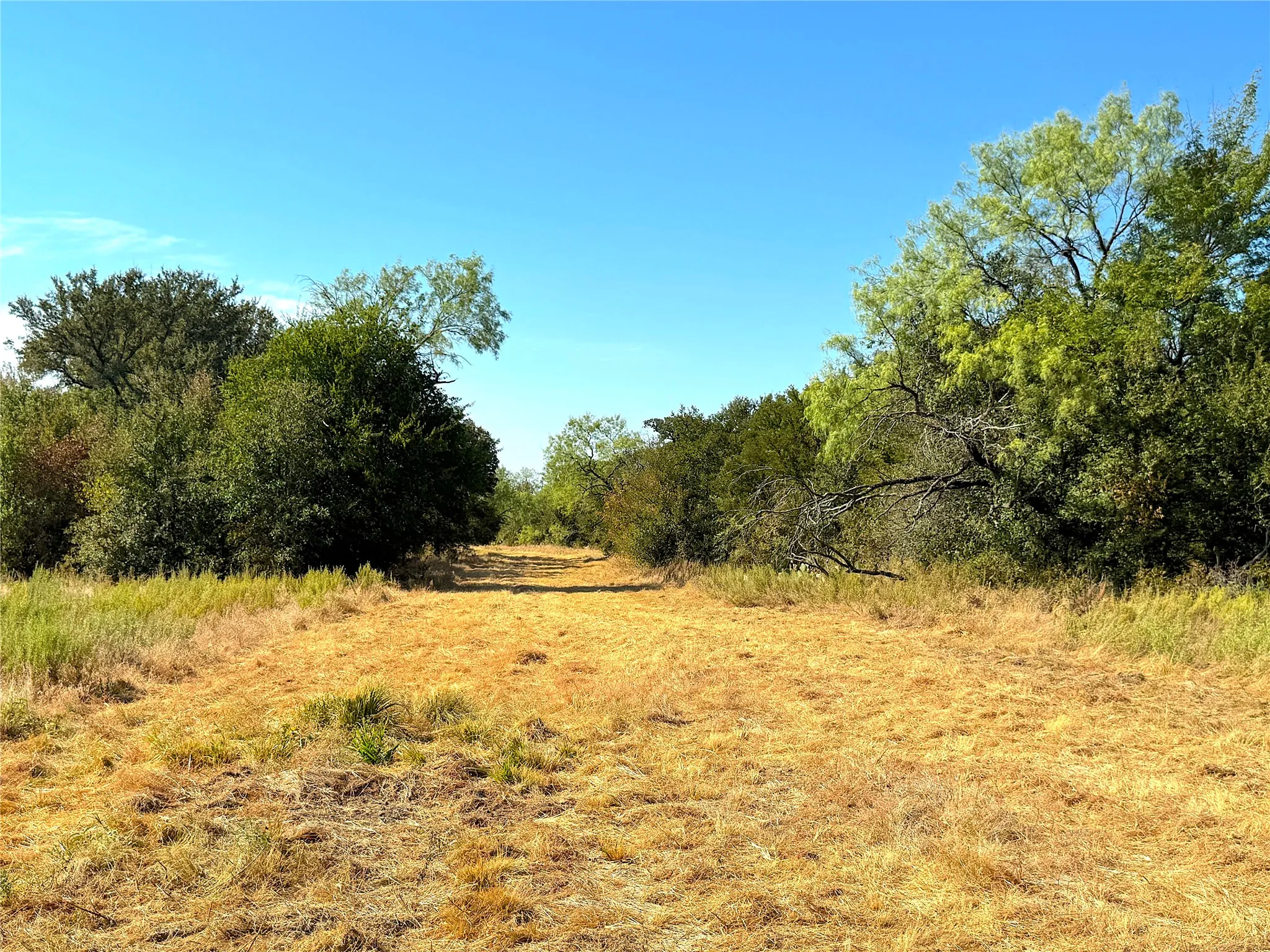 Improved Land For Sale in Jack County , 438 Oak View Lane, Jacksboro, Texas 76458, 0, 0, Garage spaces, 0 Sqft, built in 0, mls#21379831, Real Estate Agent in Jacksboro, Homes For Sale in Jack county, Homes For Sale in Jacksboro, Realtor in Jacksboro Texas, Real Estate Brokerage Independent Realty Texas, Luminita Cordes Realtor