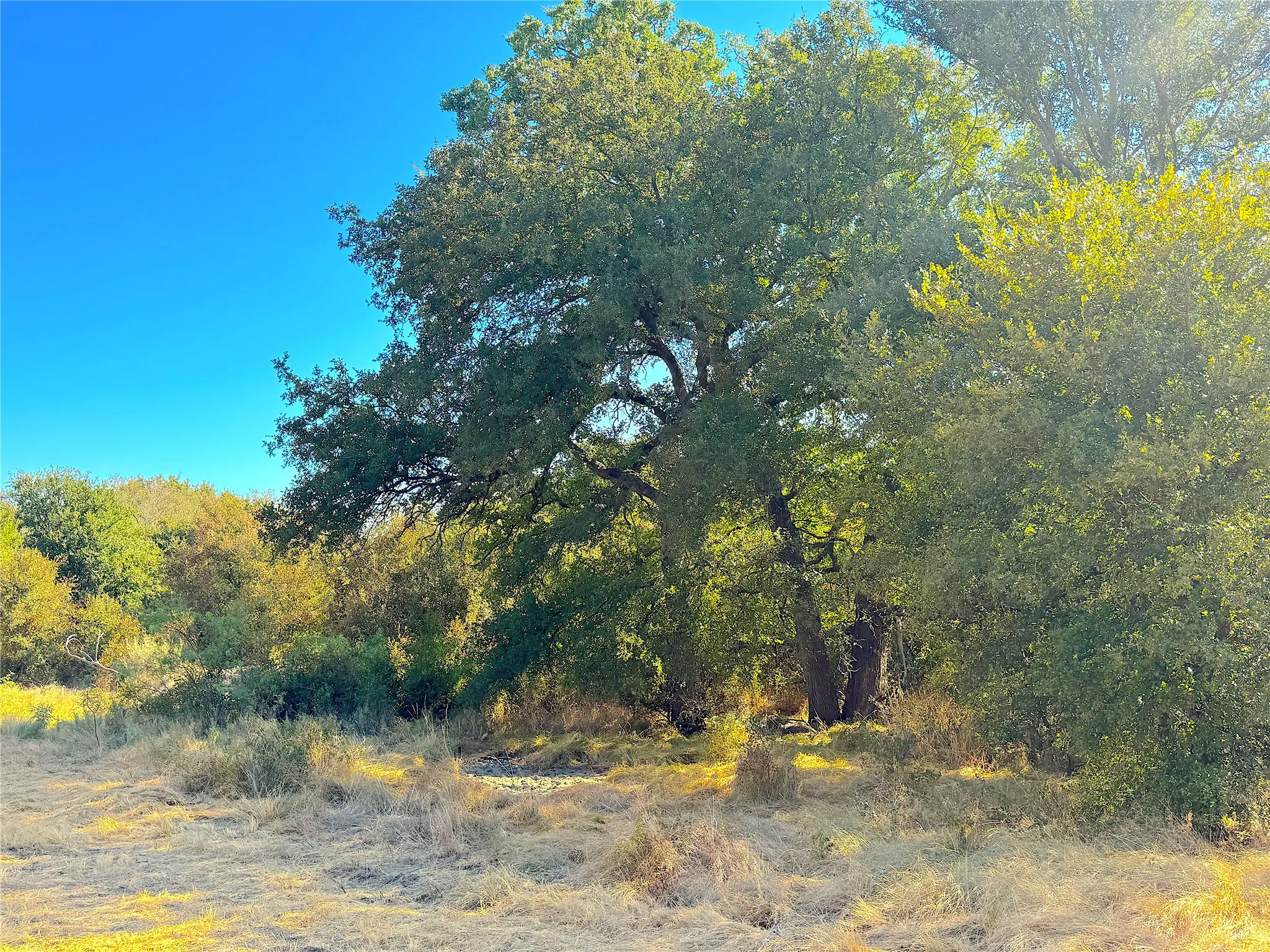 Improved Land For Sale in Jack County , 438 Oak View Lane, Jacksboro, Texas 76458, 0, 0, Garage spaces, 0 Sqft, built in 0, mls#21379831, Real Estate Agent in Jacksboro, Homes For Sale in Jack county, Homes For Sale in Jacksboro, Realtor in Jacksboro Texas, Real Estate Brokerage Independent Realty Texas, Luminita Cordes Realtor