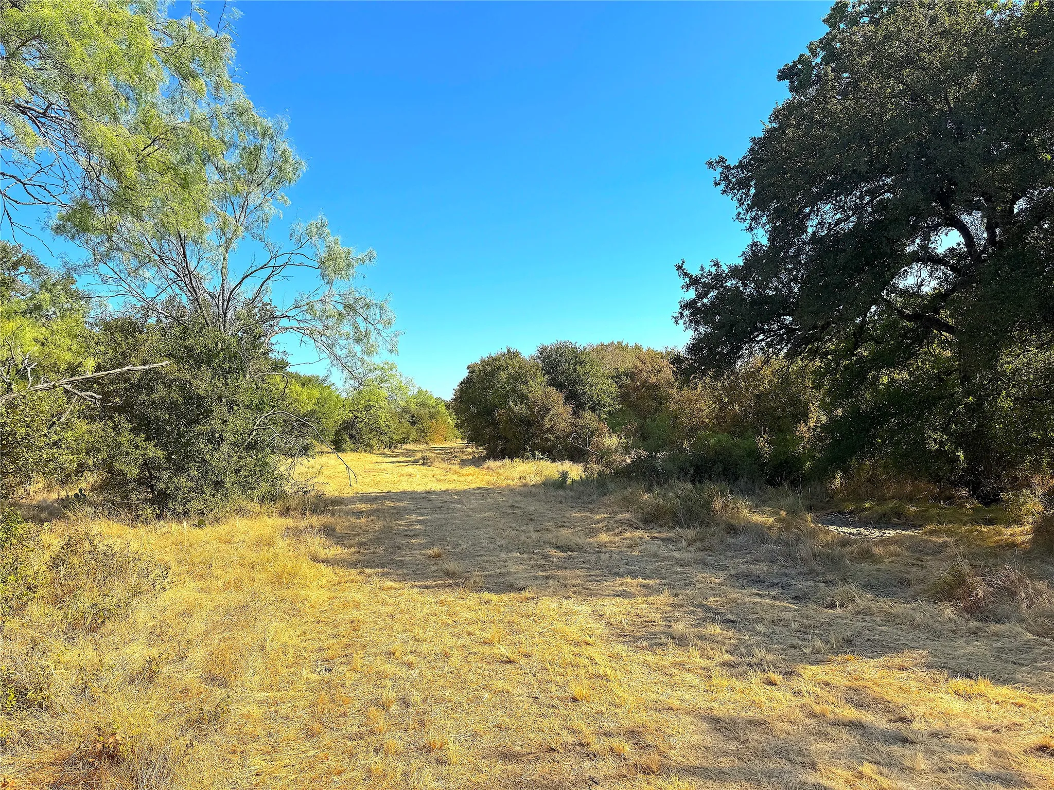 Improved Land For Sale in Jack County , 438 Oak View Lane, Jacksboro, Texas 76458, 0, 0, Garage spaces, 0 Sqft, built in 0, mls#21379831, Real Estate Agent in Jacksboro, Homes For Sale in Jack county, Homes For Sale in Jacksboro, Realtor in Jacksboro Texas, Real Estate Brokerage Independent Realty Texas, Luminita Cordes Realtor