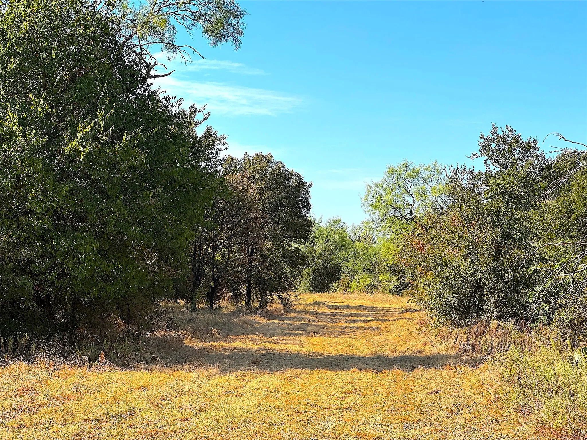 Improved Land For Sale in Jack County , 438 Oak View Lane, Jacksboro, Texas 76458, 0, 0, Garage spaces, 0 Sqft, built in 0, mls#21379831, Real Estate Agent in Jacksboro, Homes For Sale in Jack county, Homes For Sale in Jacksboro, Realtor in Jacksboro Texas, Real Estate Brokerage Independent Realty Texas, Luminita Cordes Realtor