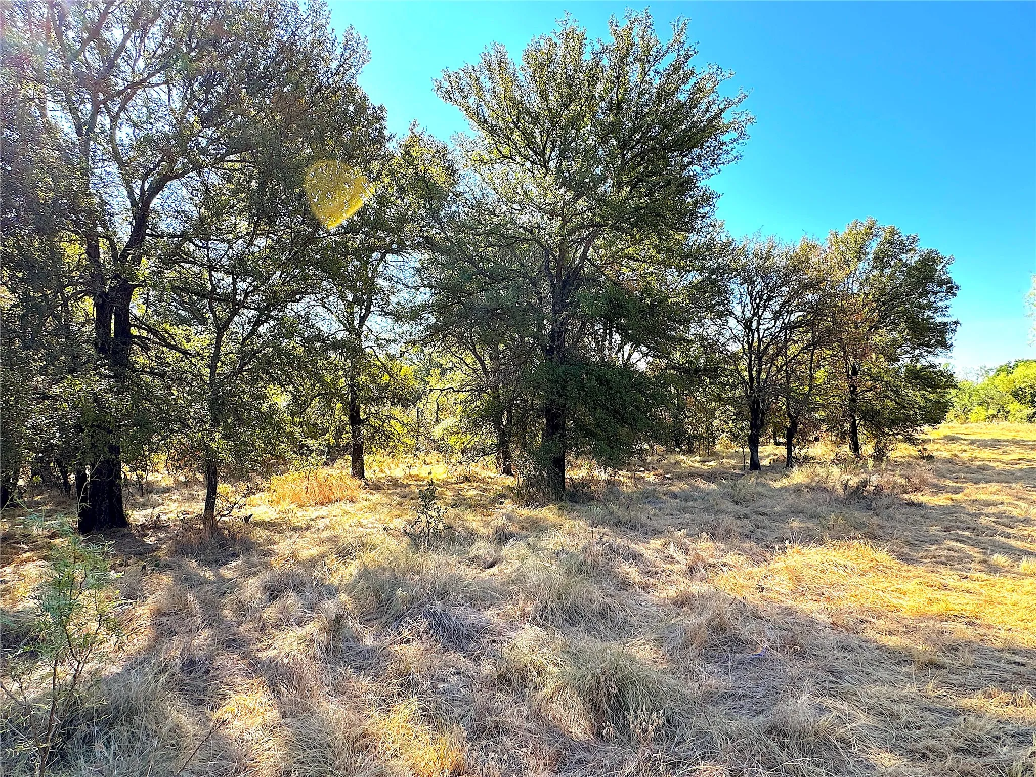 Improved Land For Sale in Jack County , 438 Oak View Lane, Jacksboro, Texas 76458, 0, 0, Garage spaces, 0 Sqft, built in 0, mls#21379831, Real Estate Agent in Jacksboro, Homes For Sale in Jack county, Homes For Sale in Jacksboro, Realtor in Jacksboro Texas, Real Estate Brokerage Independent Realty Texas, Luminita Cordes Realtor