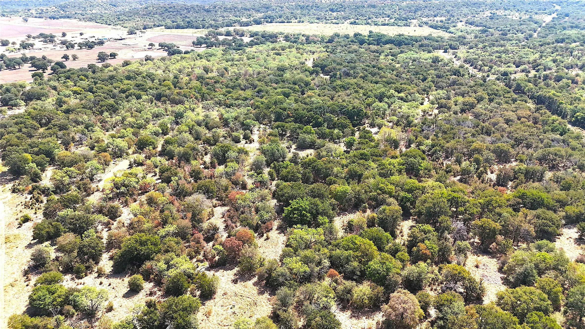 Improved Land For Sale in Jack County , 438 Oak View Lane, Jacksboro, Texas 76458, 0, 0, Garage spaces, 0 Sqft, built in 0, mls#21379831, Real Estate Agent in Jacksboro, Homes For Sale in Jack county, Homes For Sale in Jacksboro, Realtor in Jacksboro Texas, Real Estate Brokerage Independent Realty Texas, Luminita Cordes Realtor