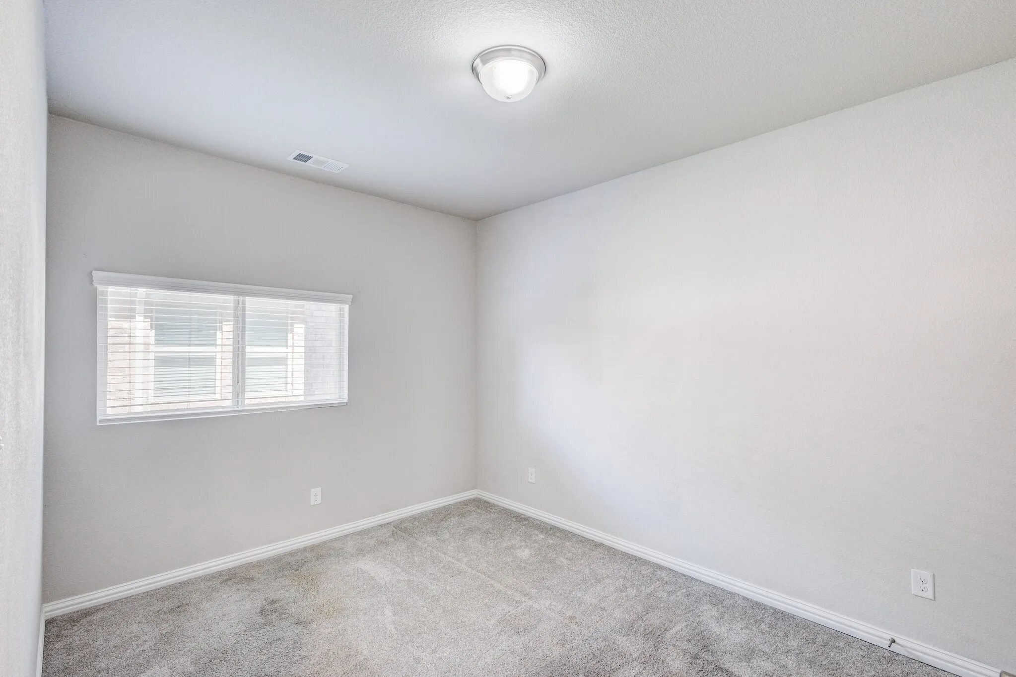 Wall-to-wall carpeting, window with blinds, ceiling-mounted light fixture