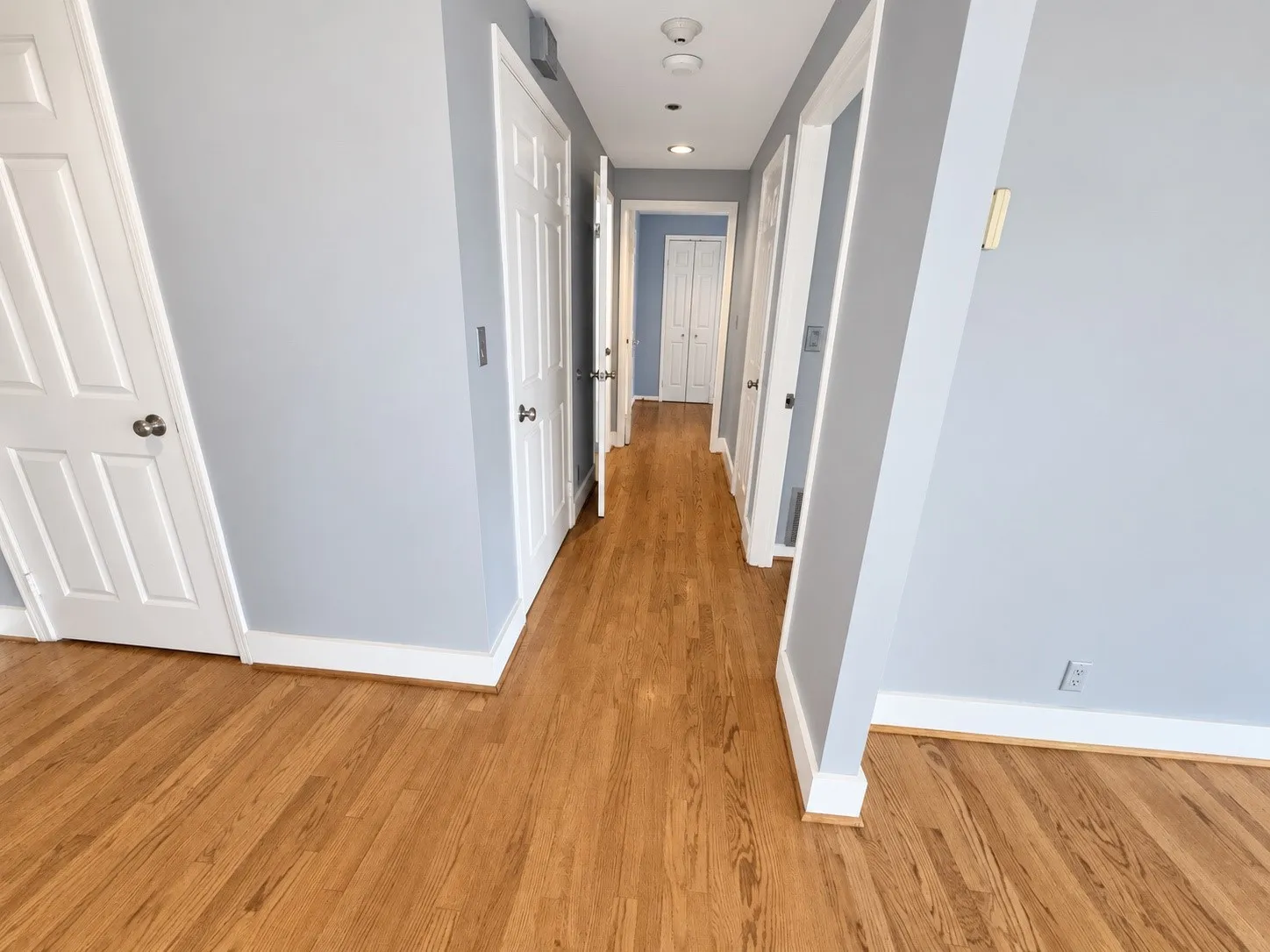 Hardwood flooring throughout, white paneled doors, ceiling-mounted lighting, and light blue wall finish