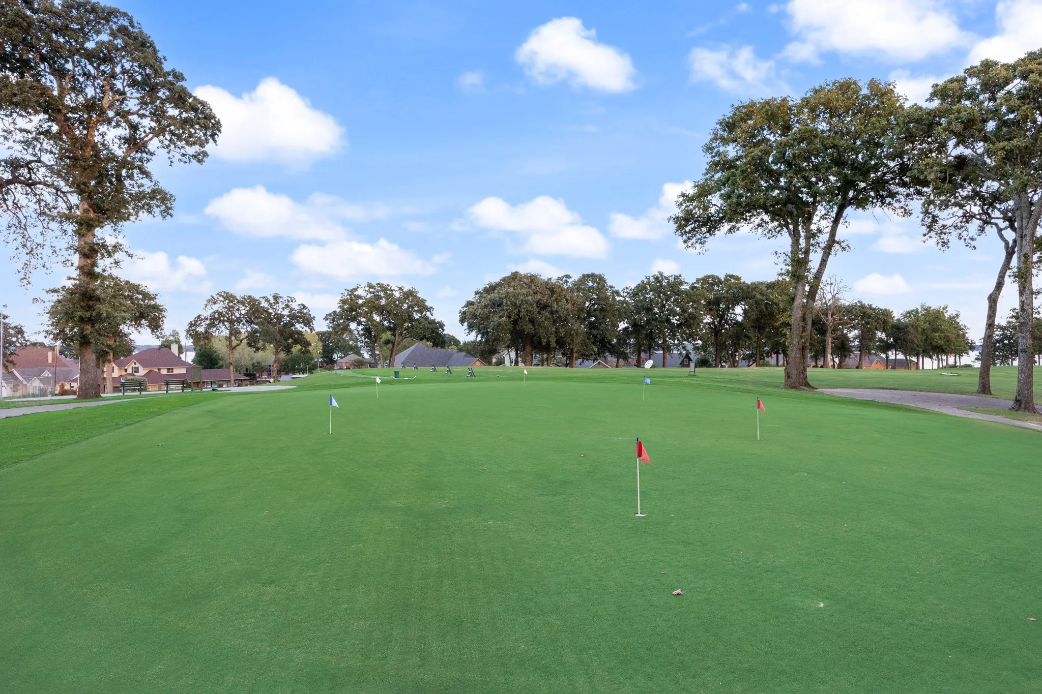 Expansive green space with mature trees, multiple putting flags, and a paved pathway