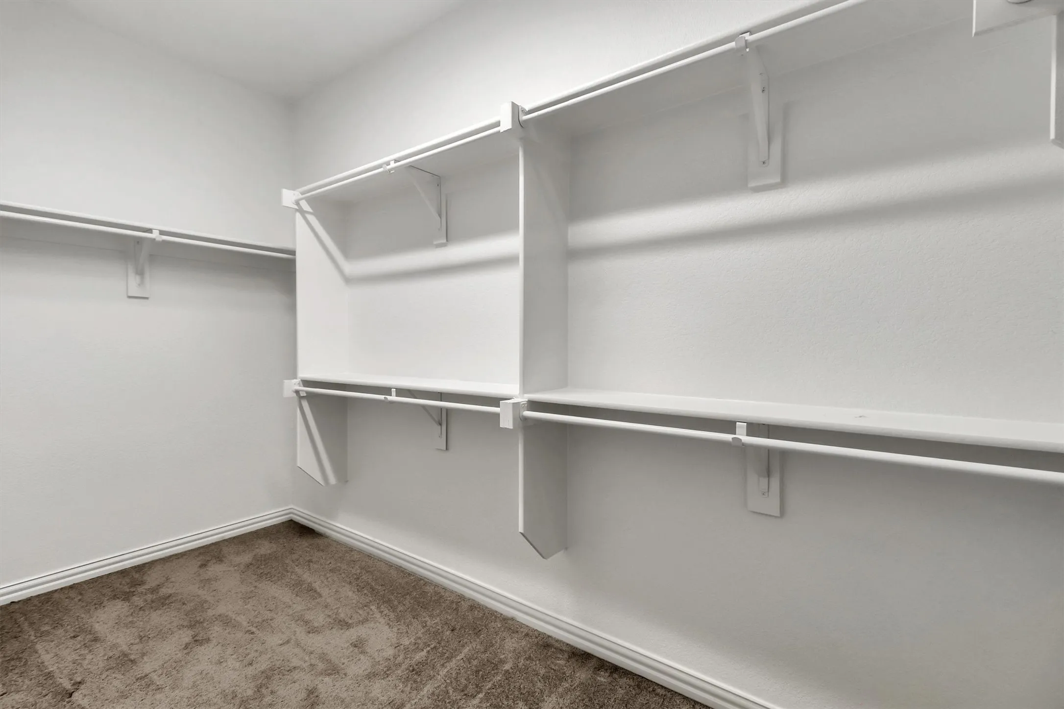 Built-in white shelving, integrated hanging rods, and carpet flooring