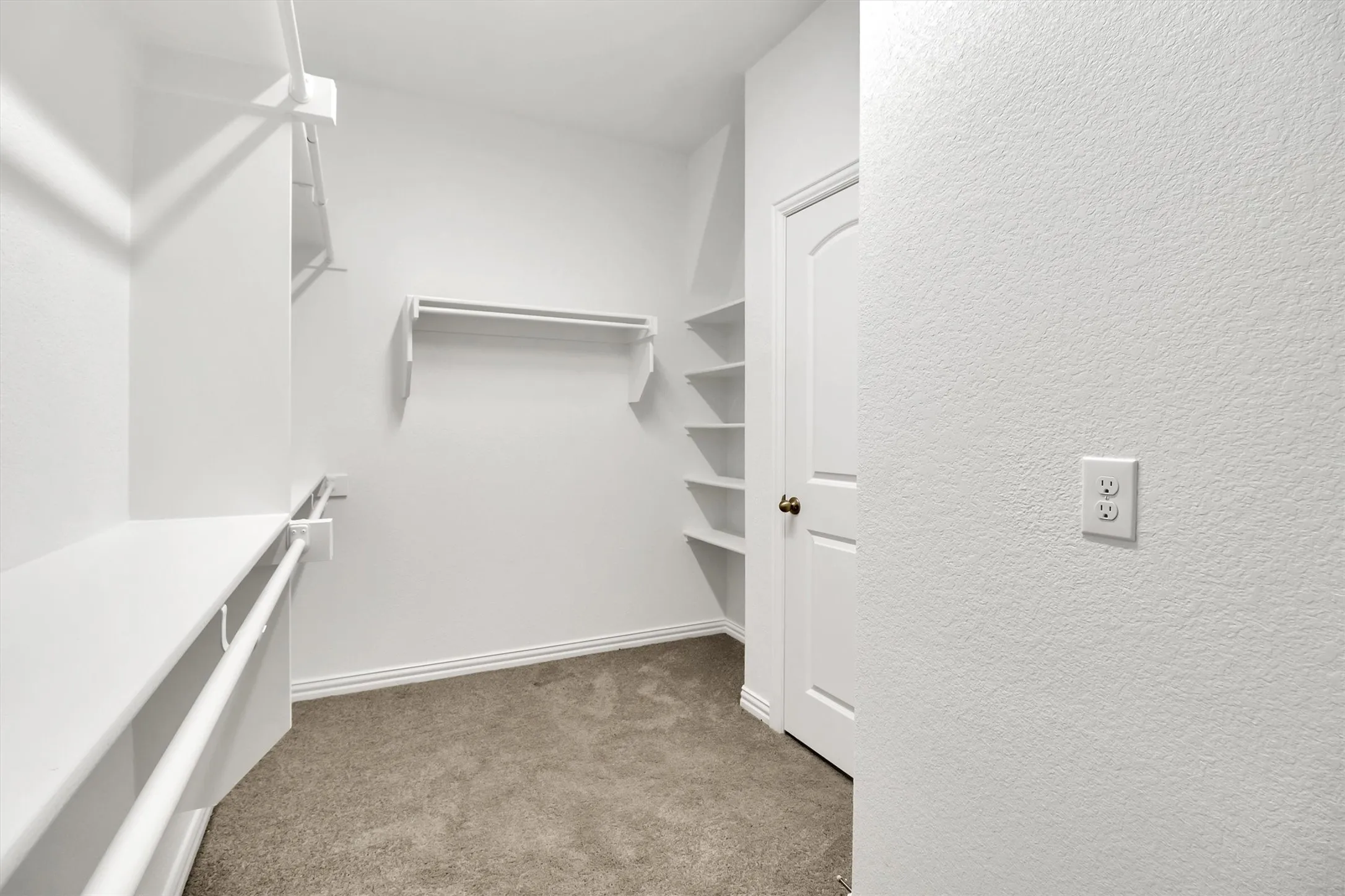 Walk-in closet with carpet flooring, multiple custom shelving units, and clothing rods